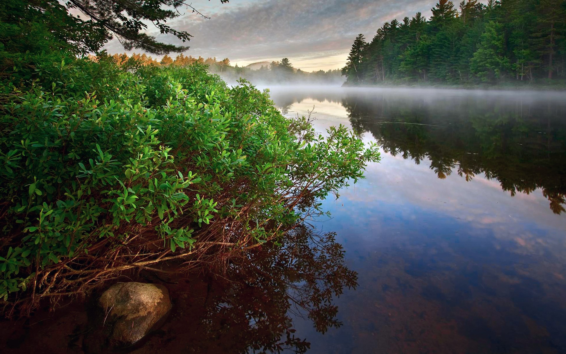 Misty Lake at Sunrise with Green Bushes HD Wallpaper