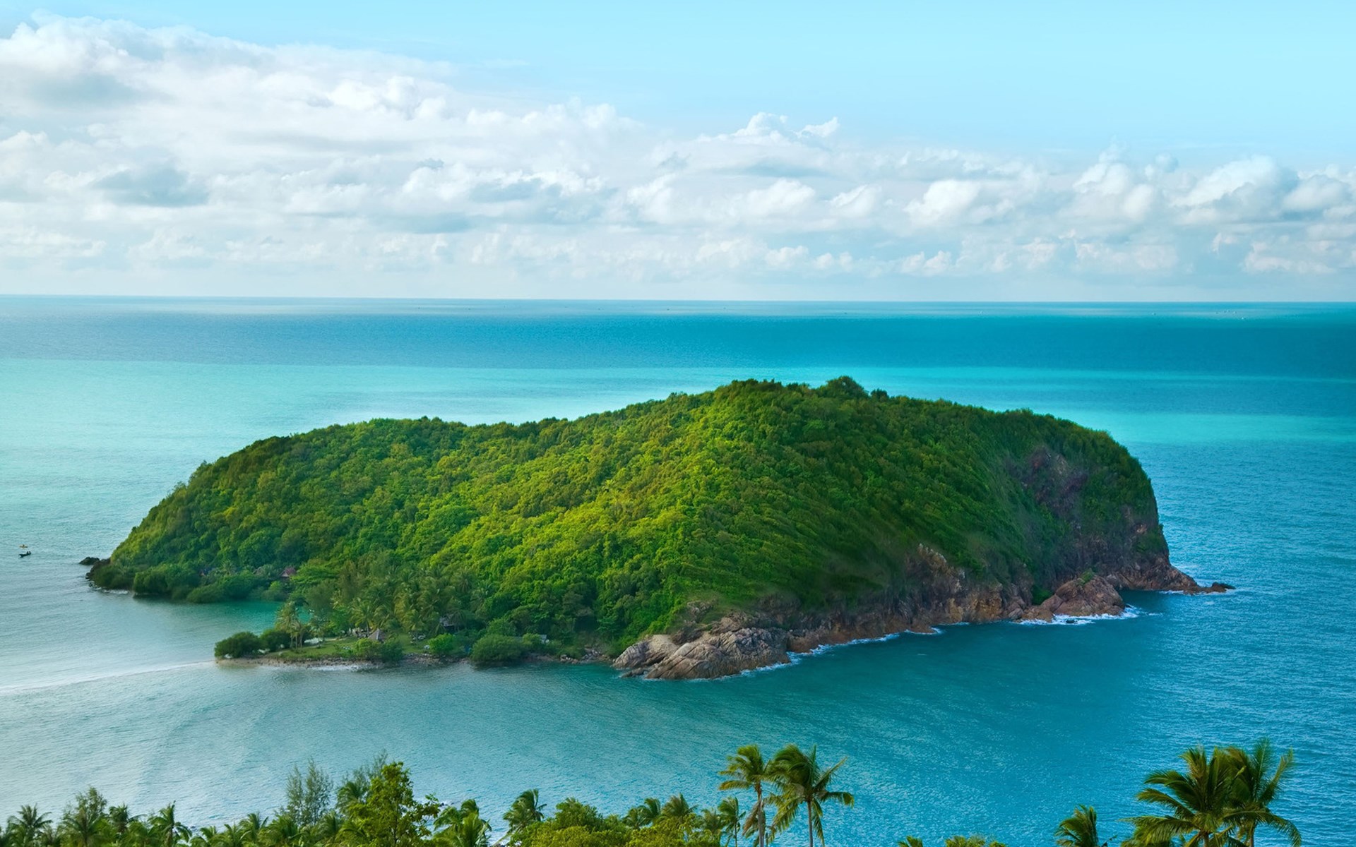 Island covered in green trees surrounded by blue ocean HD Wallpaper