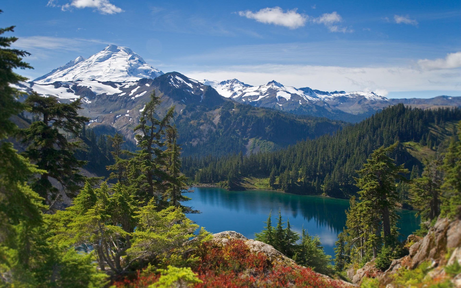 Snow-capped mountain overlooking a forest and lake HD Wallpaper