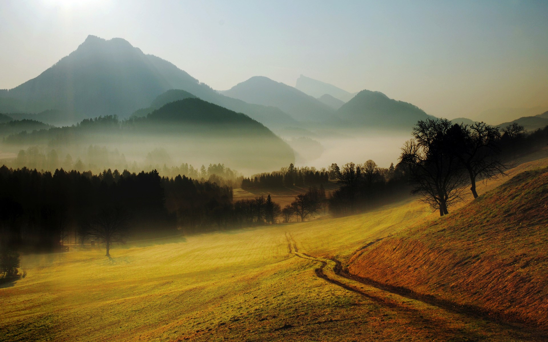 Misty mountain landscape at sunrise with rolling hills HD Wallpaper