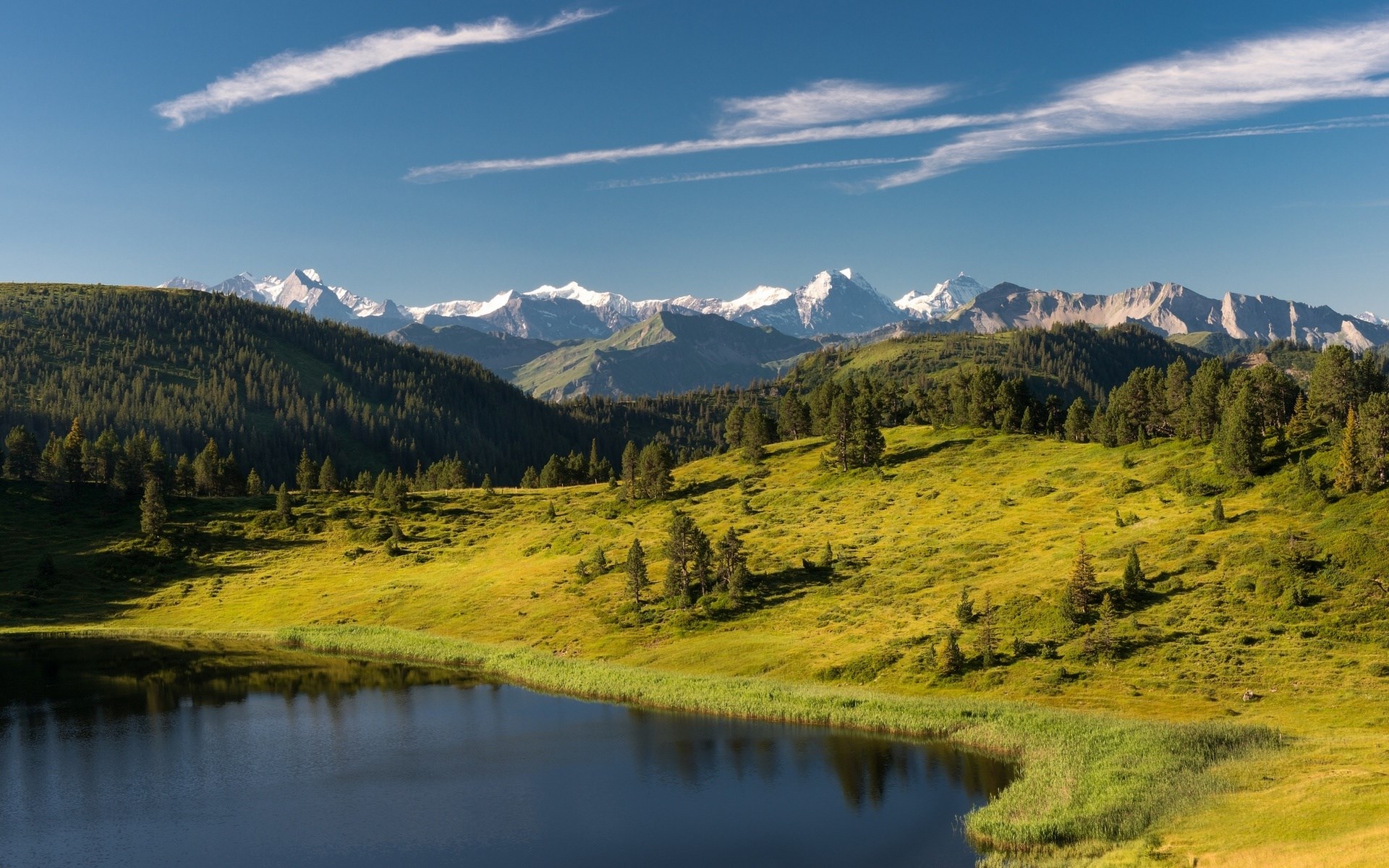 Lake and mountains with green hills and pine trees HD Wallpaper