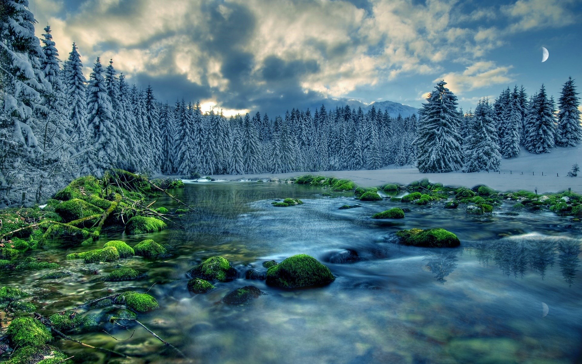 Winter forest with a flowing river and mossy rocks HD Wallpaper