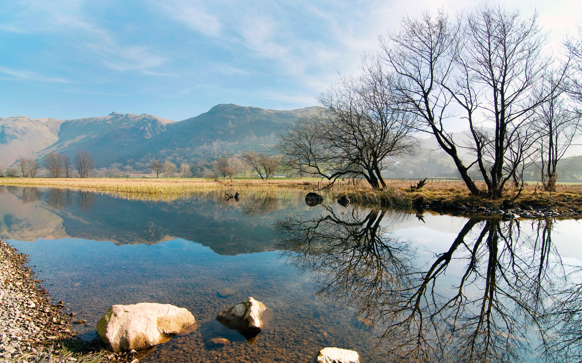 Bare trees reflected in a calm lake with mountains in the background HD Wallpaper