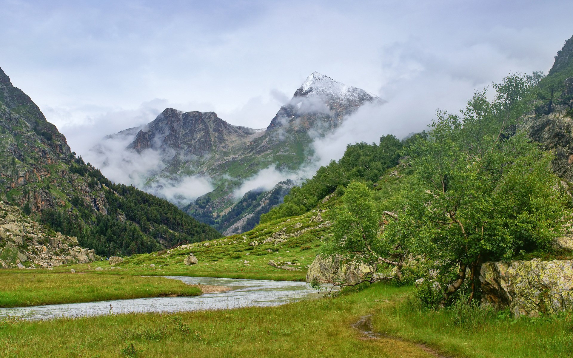 Mountain valley with a river and trees HD Wallpaper