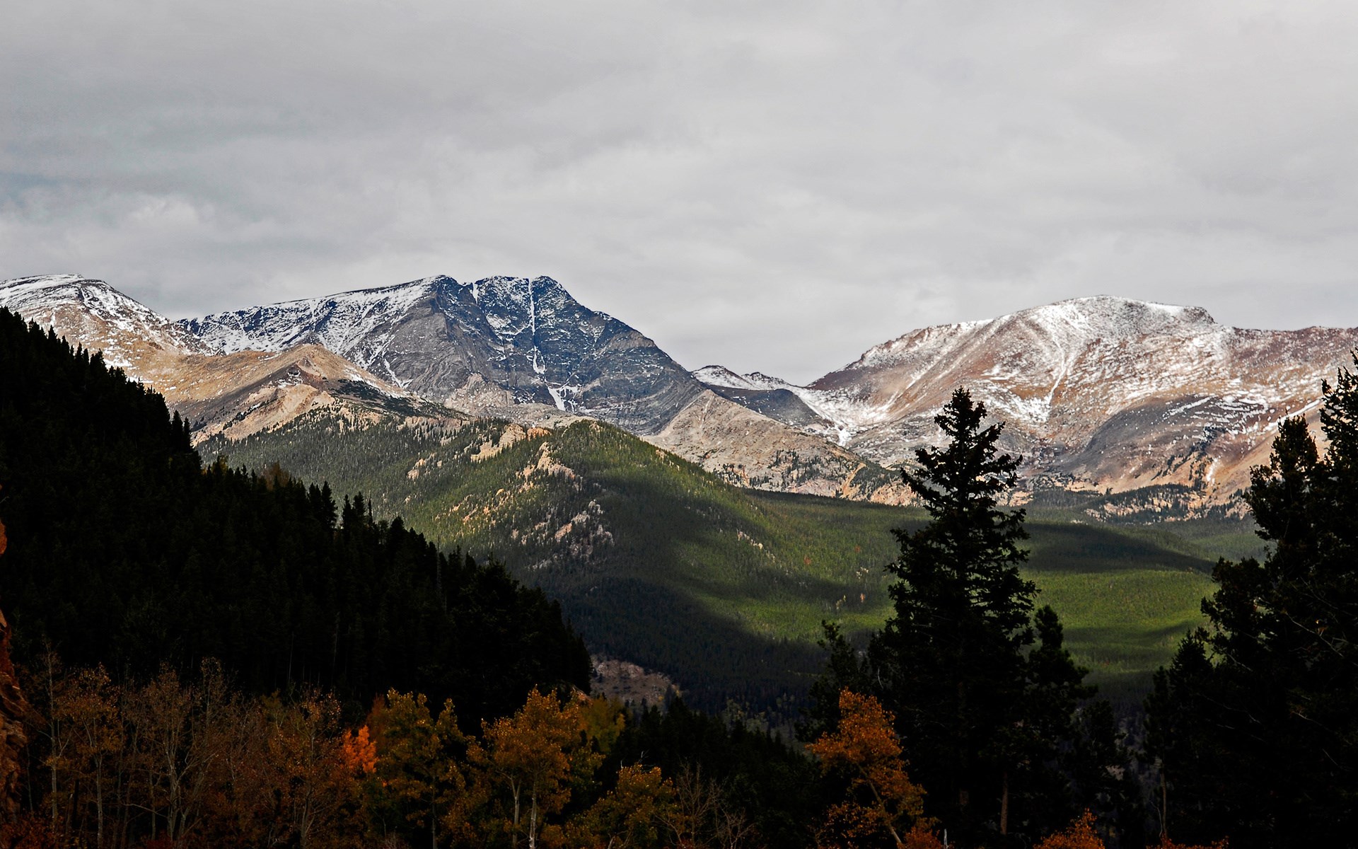 Snow-capped mountains with evergreen forests and autumn trees HD Wallpaper