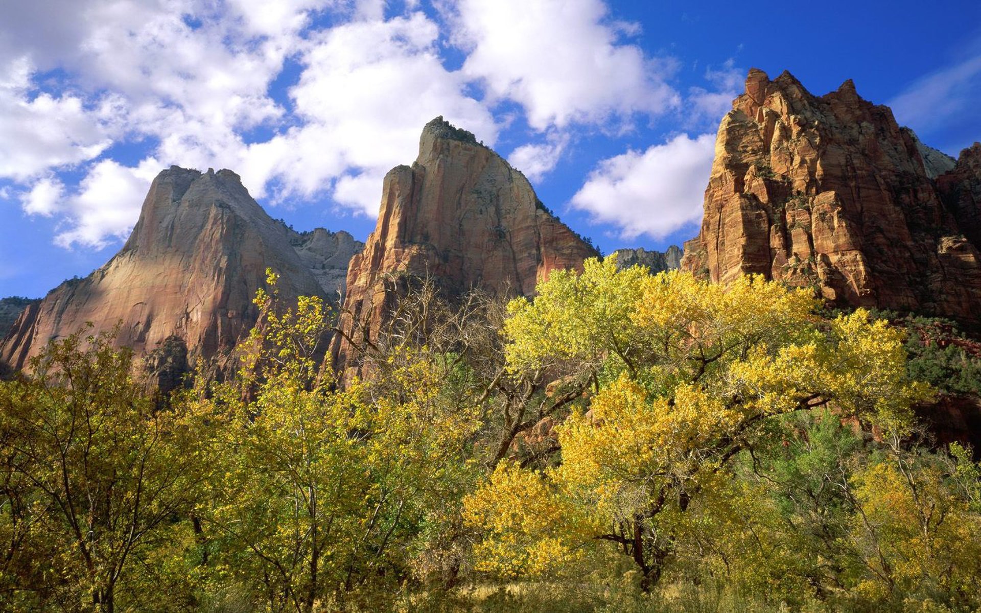 Zion National Park mountains and trees HD Wallpaper