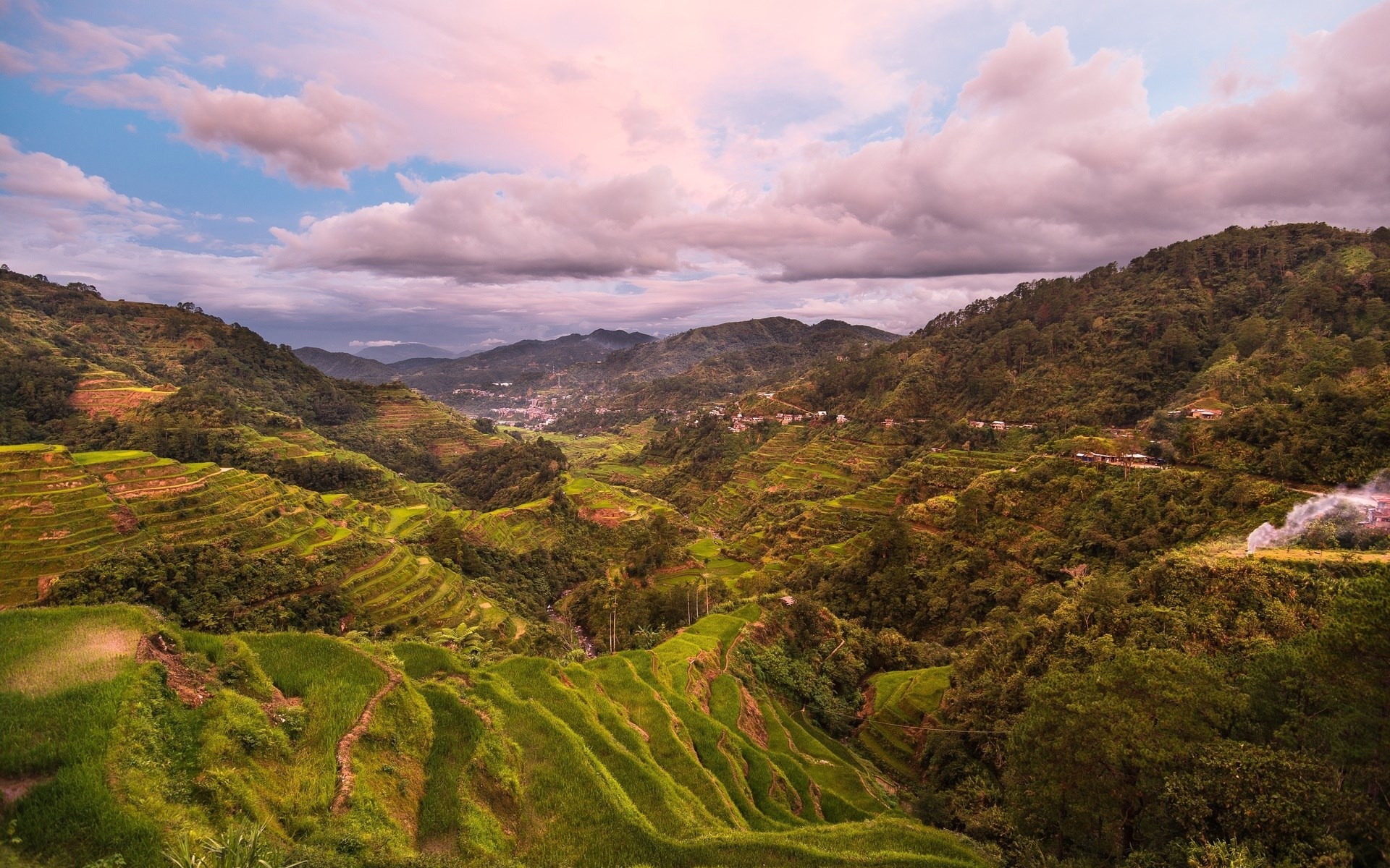 Rice terraces on a mountainside at sunset HD Wallpaper