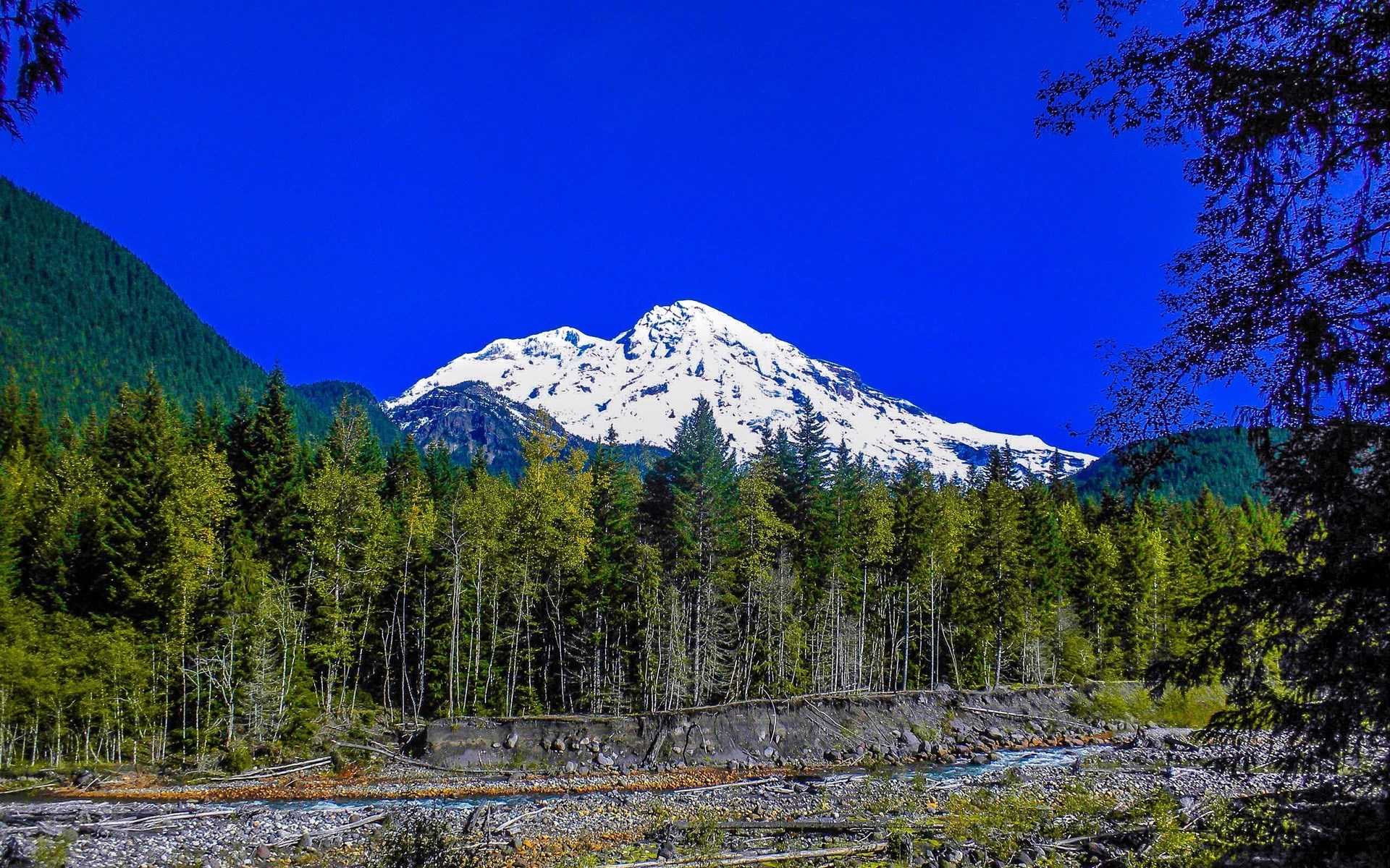 Snow-capped mountain behind a forest and river HD Wallpaper