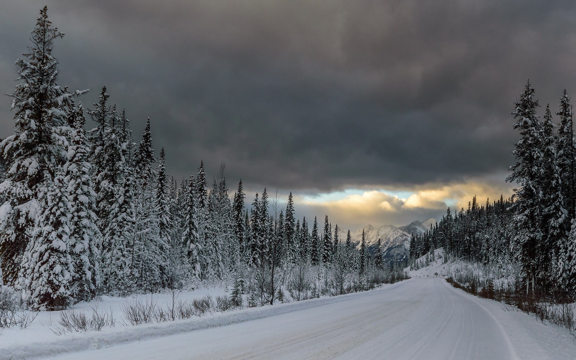 Snowy road through a winter forest with mountains HD Wallpaper