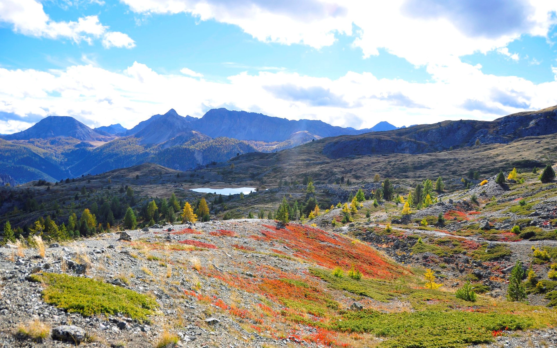 Mountain landscape with a lake and autumn foliage HD Wallpaper