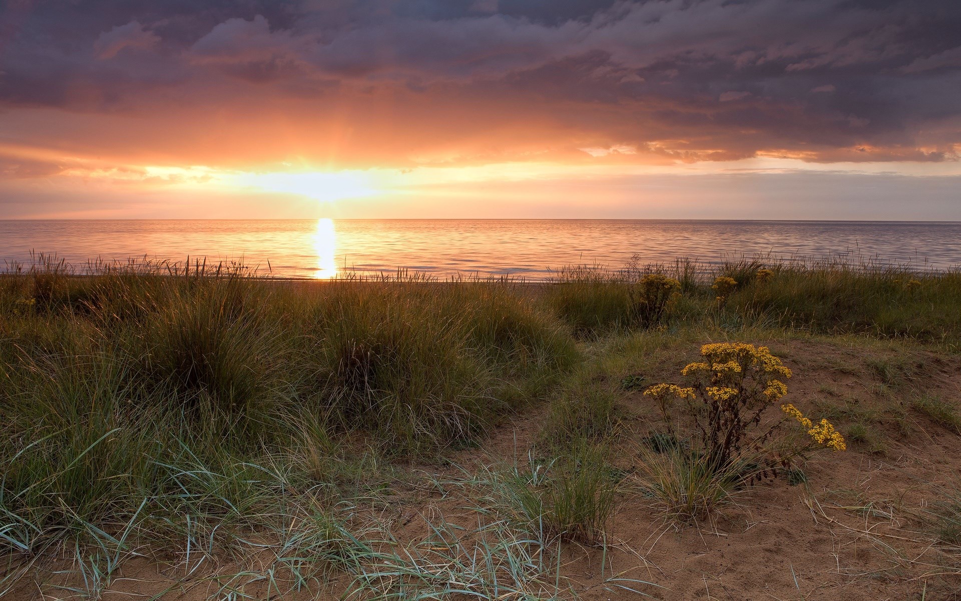 Sunset over a calm lake with sand dunes and tall grass HD Wallpaper