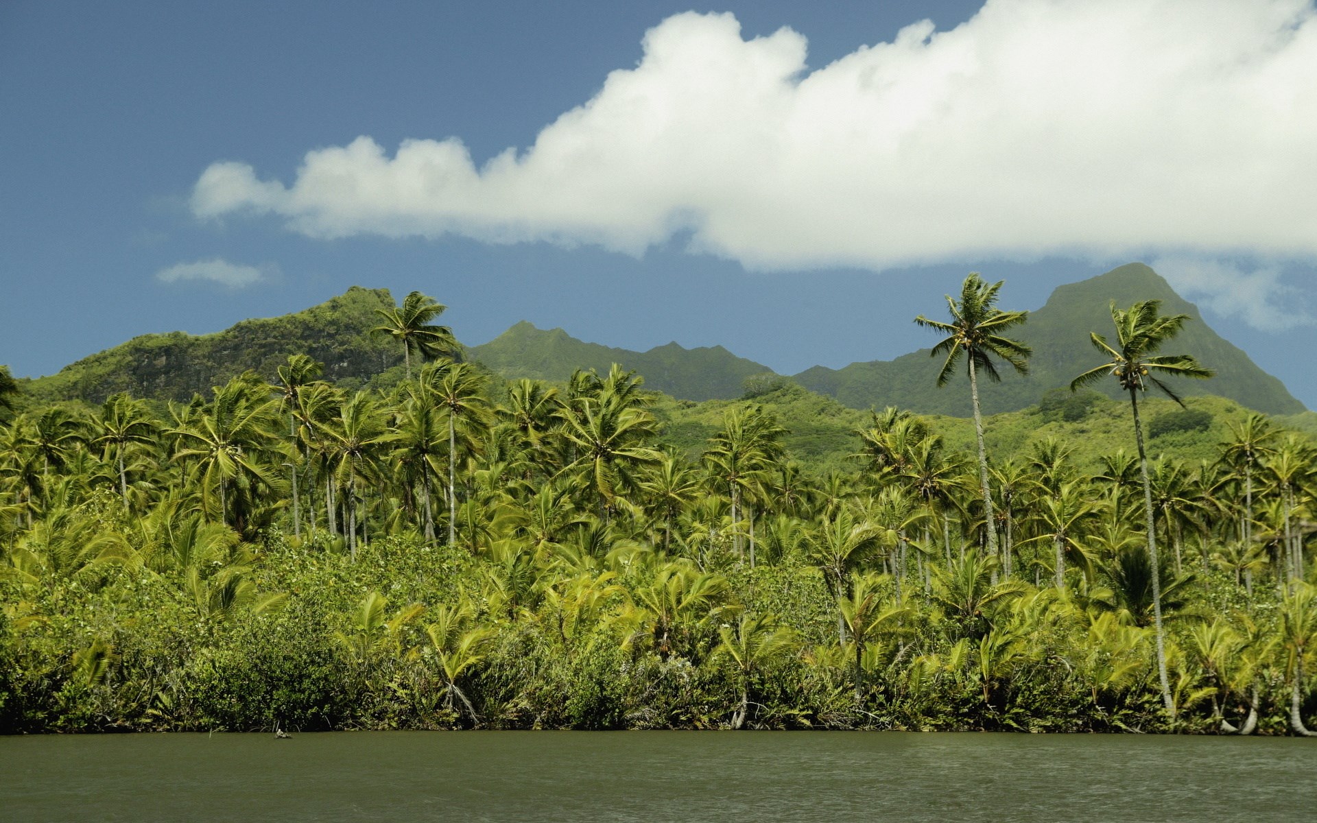 Tropical island with palm trees and mountains HD Wallpaper