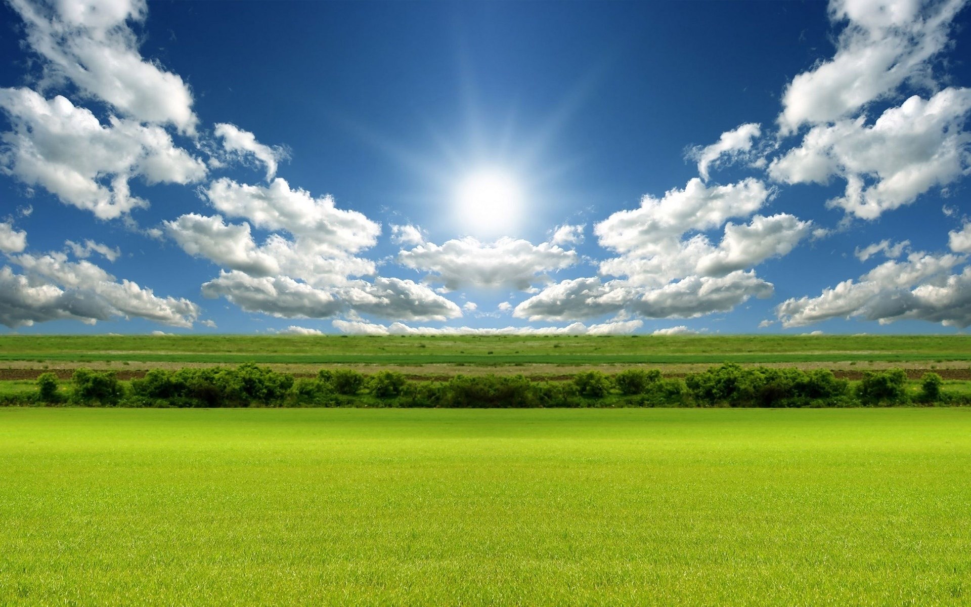 Sunny Sky Over Green Fields HD Wallpaper