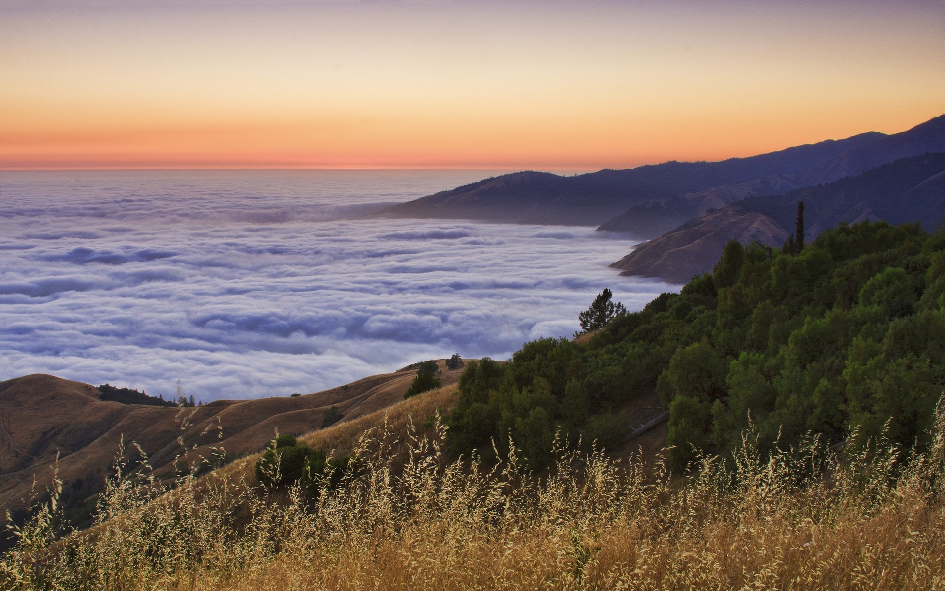 Foggy coastal mountains at sunset HD Wallpaper
