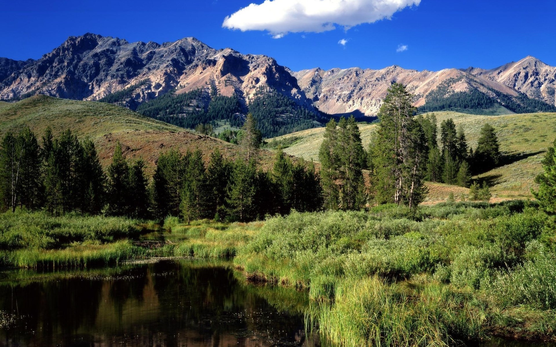 Mountain range with a river and trees HD Wallpaper