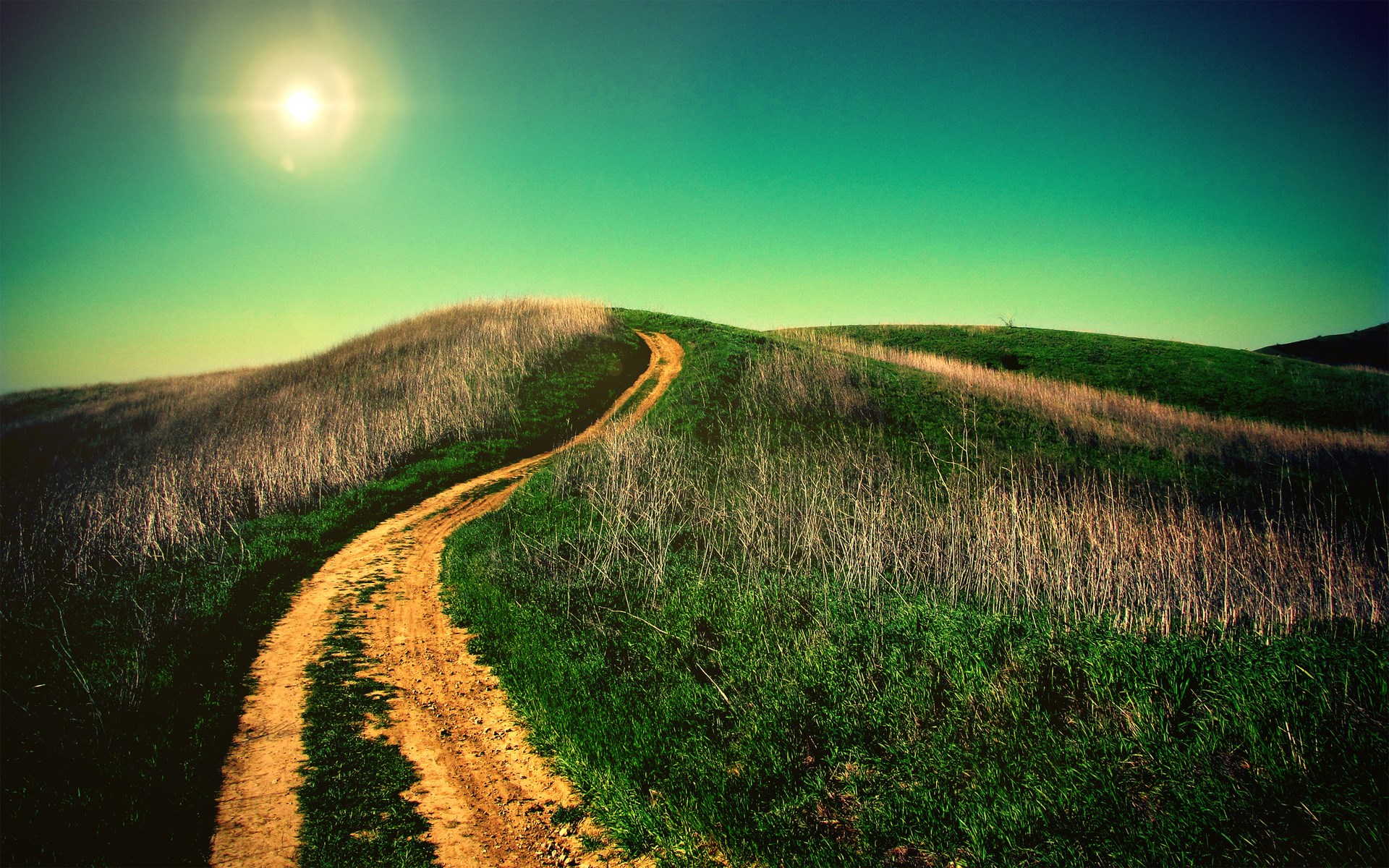 Dirt path winding through grassy hills under a bright sun HD Wallpaper