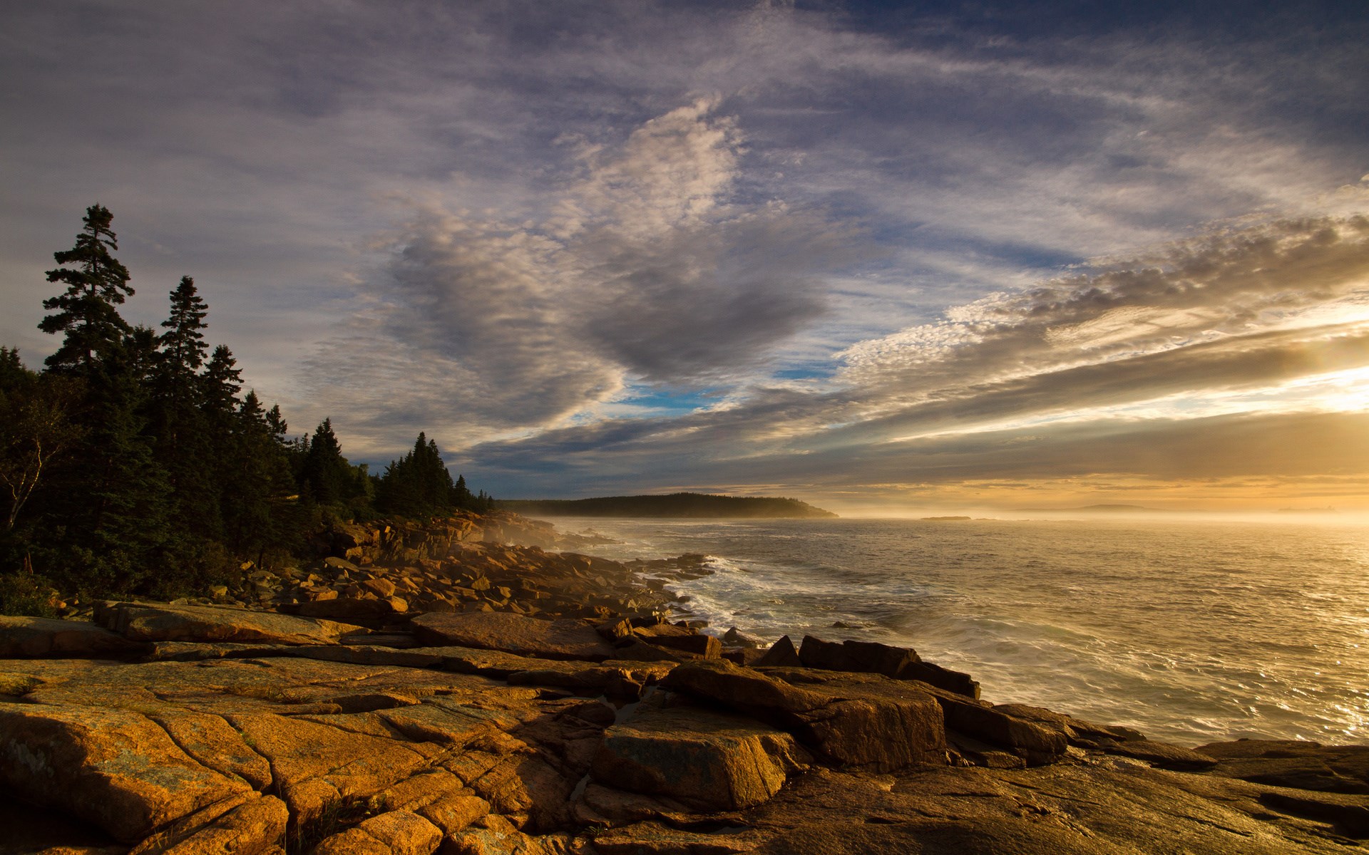 Rocky coastline with pine trees and ocean at sunset HD Wallpaper