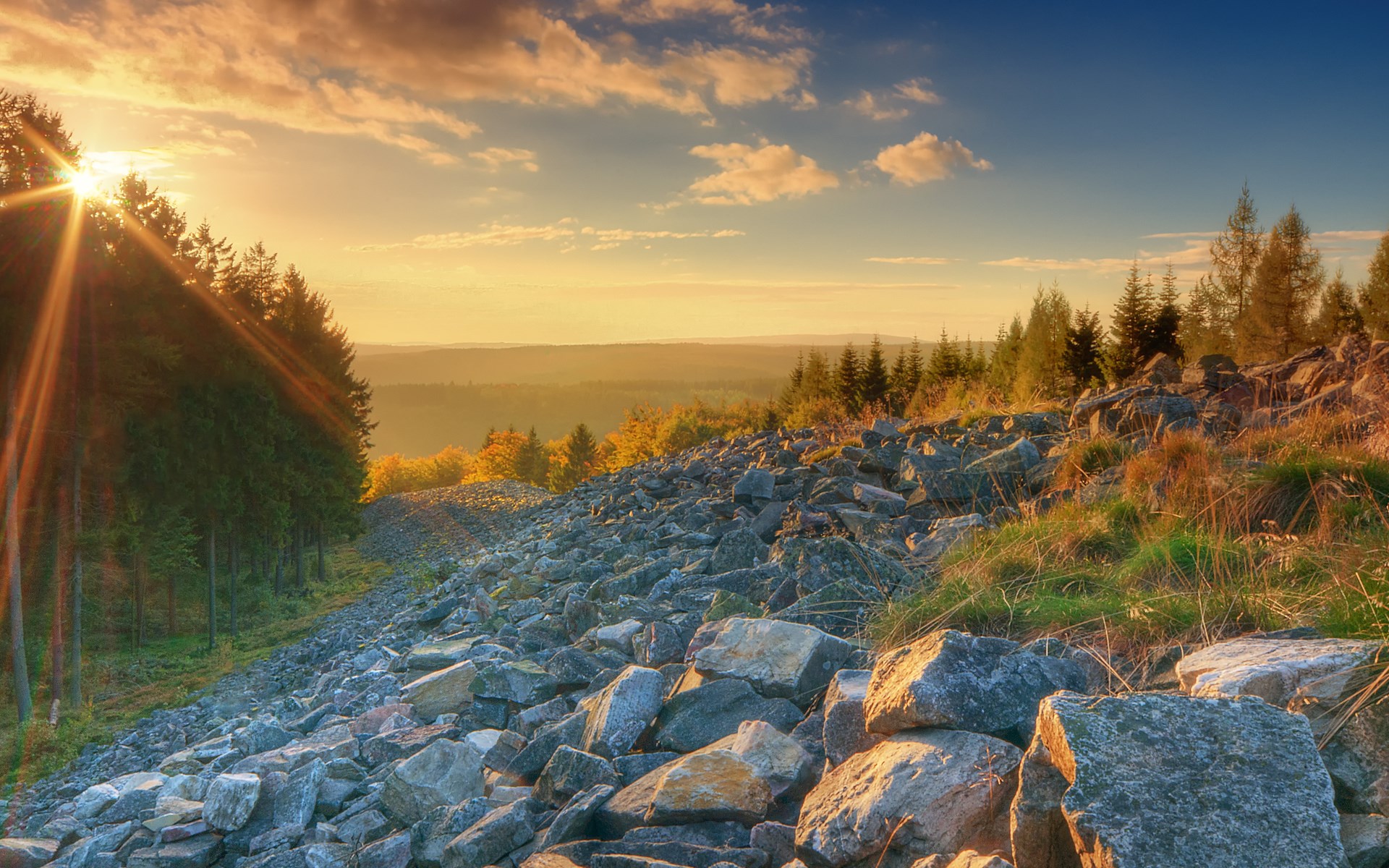 Rocky hillside with sunbeams through trees at sunset HD Wallpaper