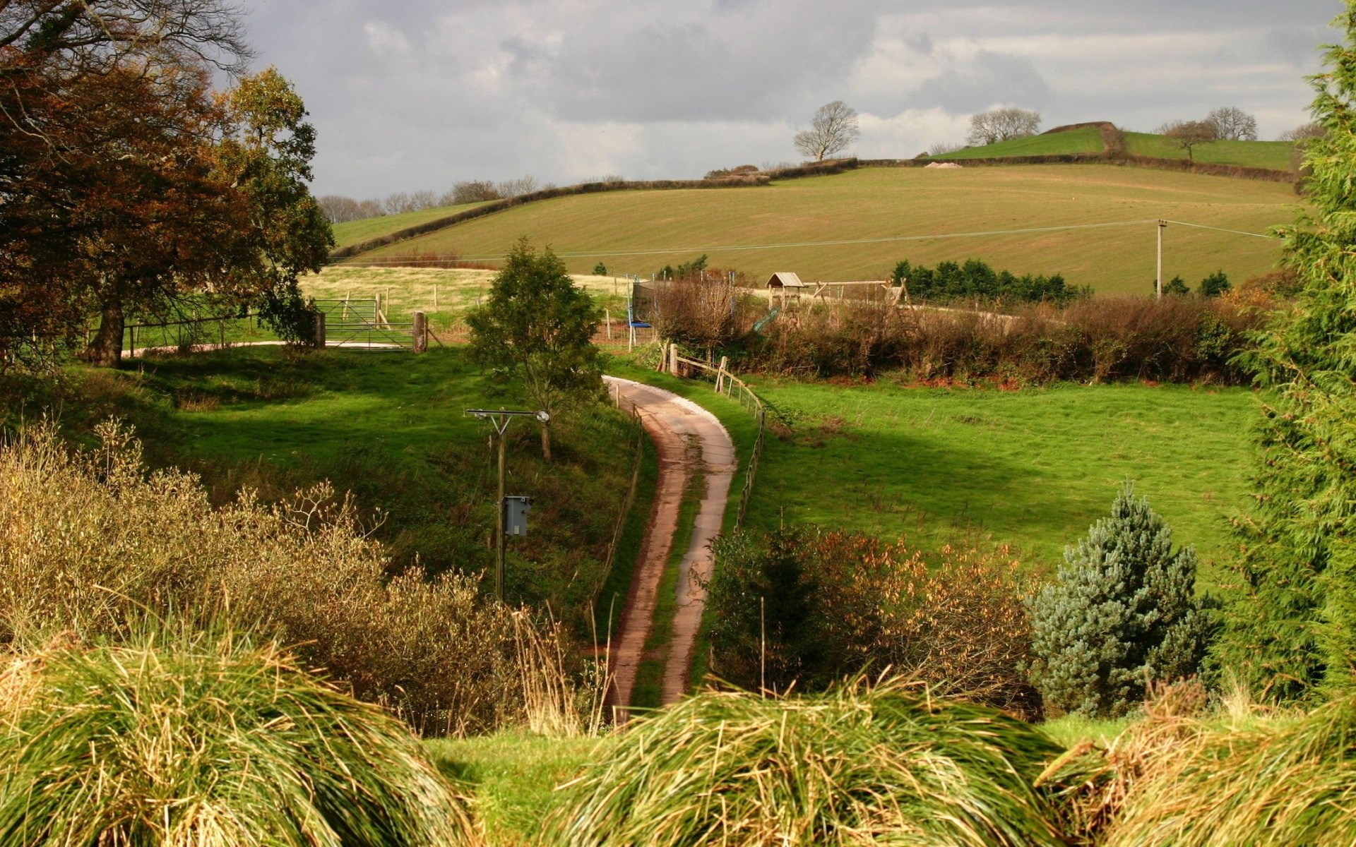 A winding dirt road through a green countryside landscape HD Wallpaper
