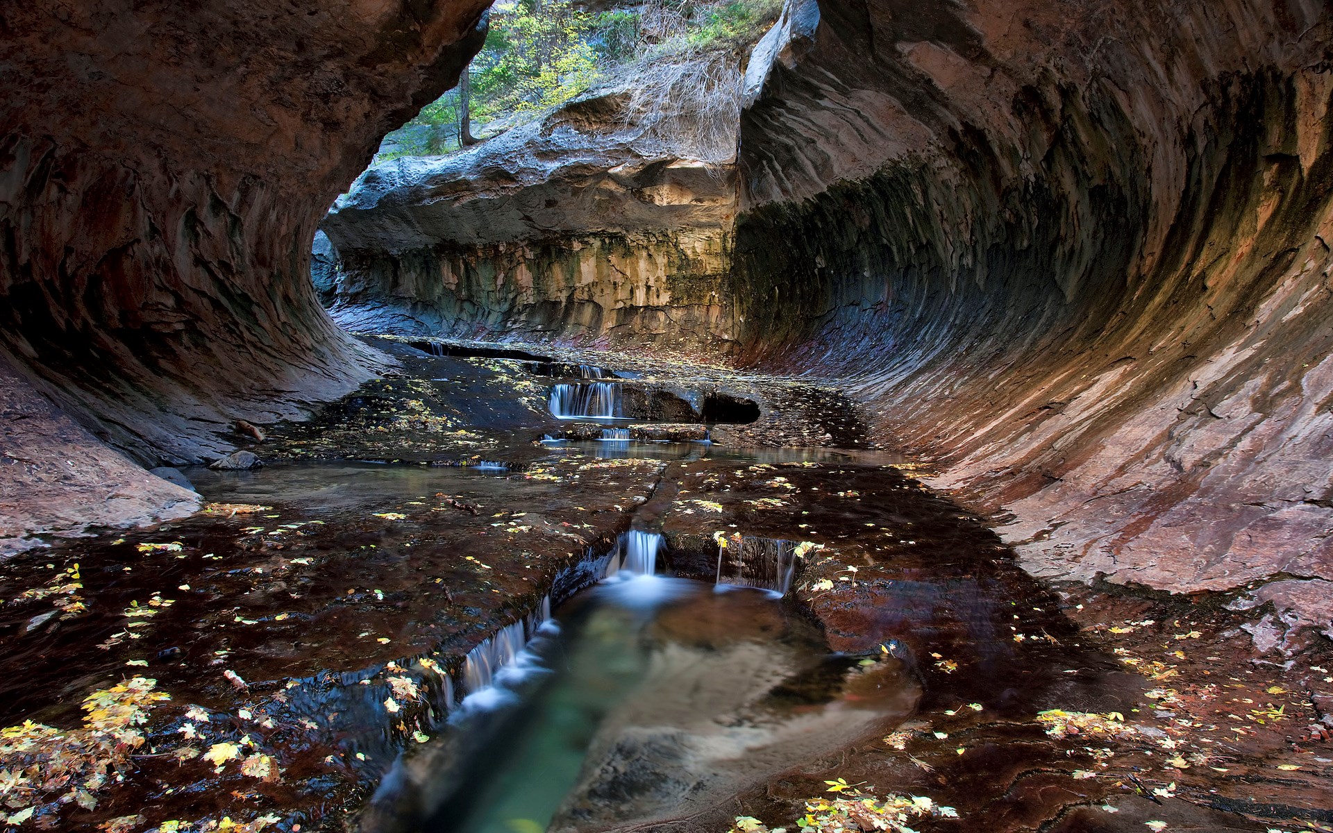 The Subway, Zion National Park HD Wallpaper