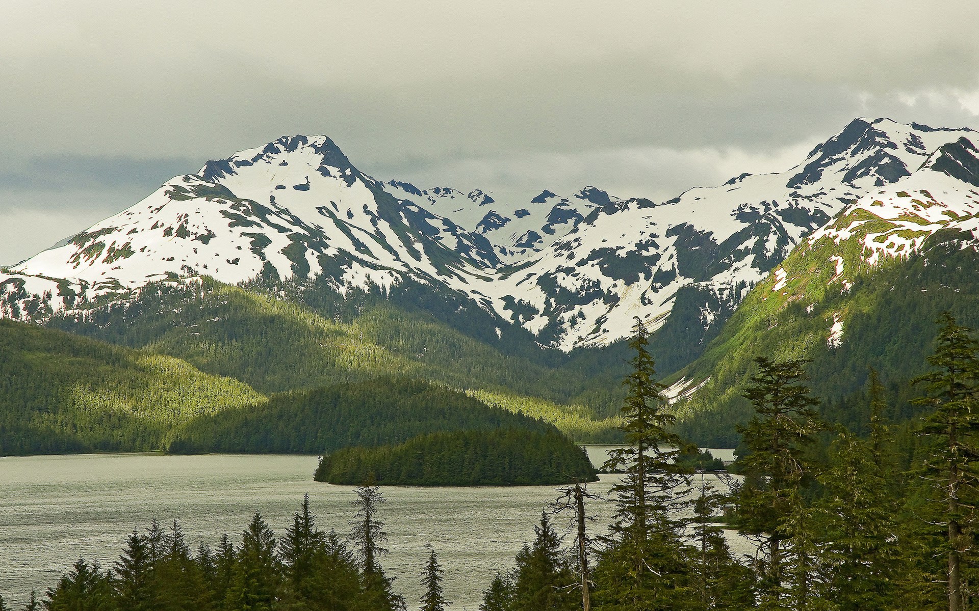 Snow-capped mountains overlooking a lake and forest HD Wallpaper