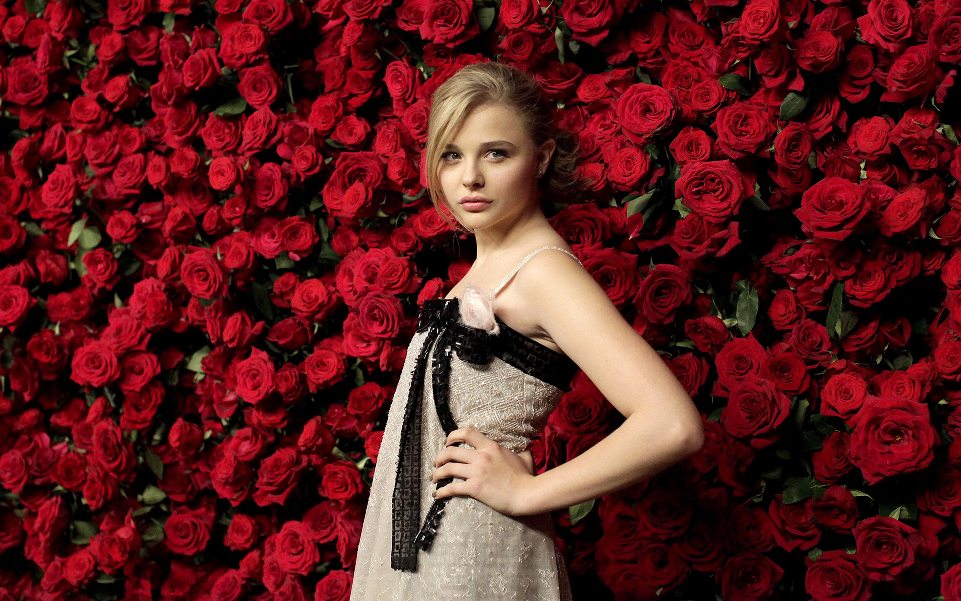 Chloe Grace Moretz in front of red roses HD Wallpaper