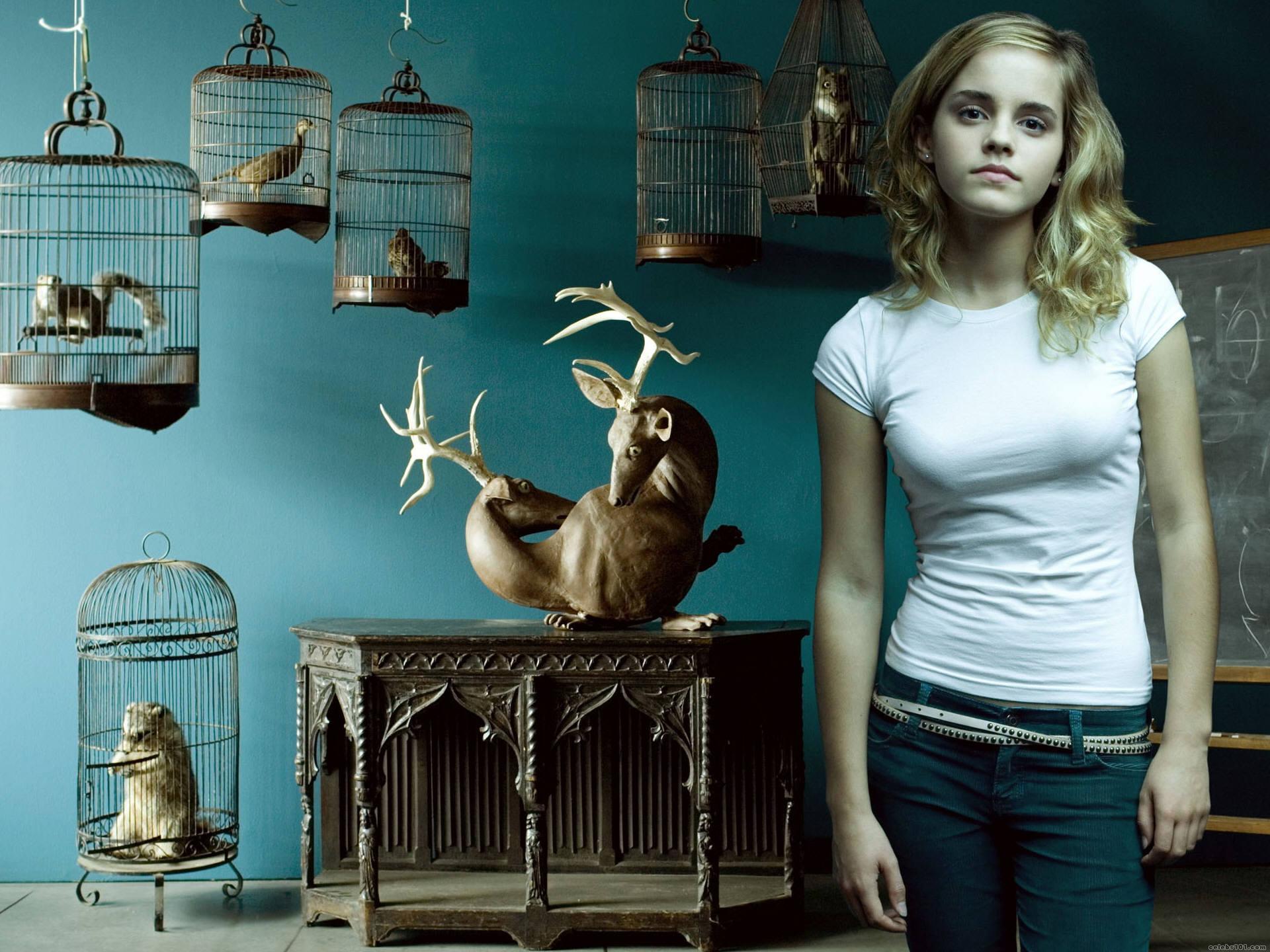 Emma Watson with taxidermy animals HD Wallpaper