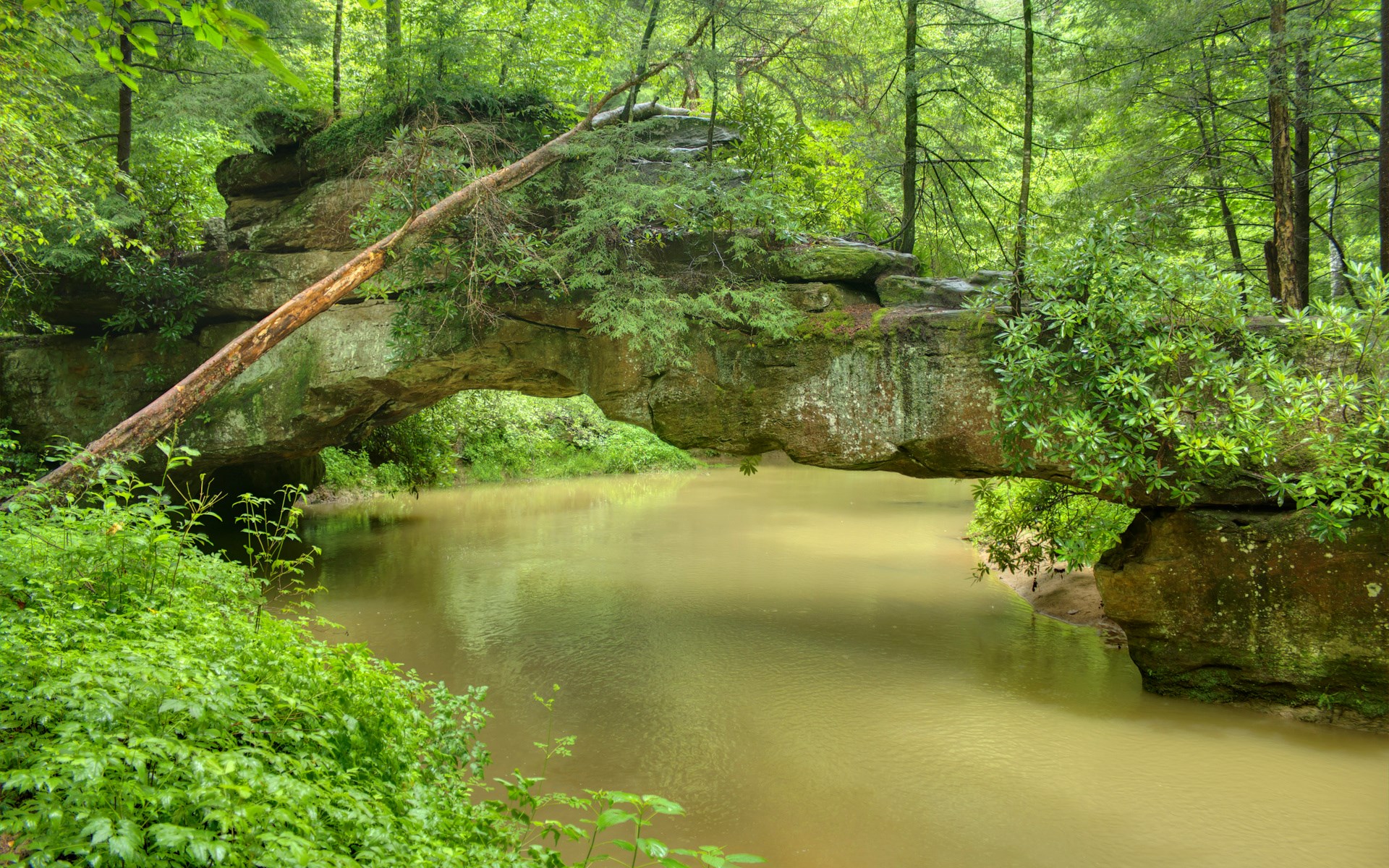 Natural rock bridge over a creek in a forest HD Wallpaper