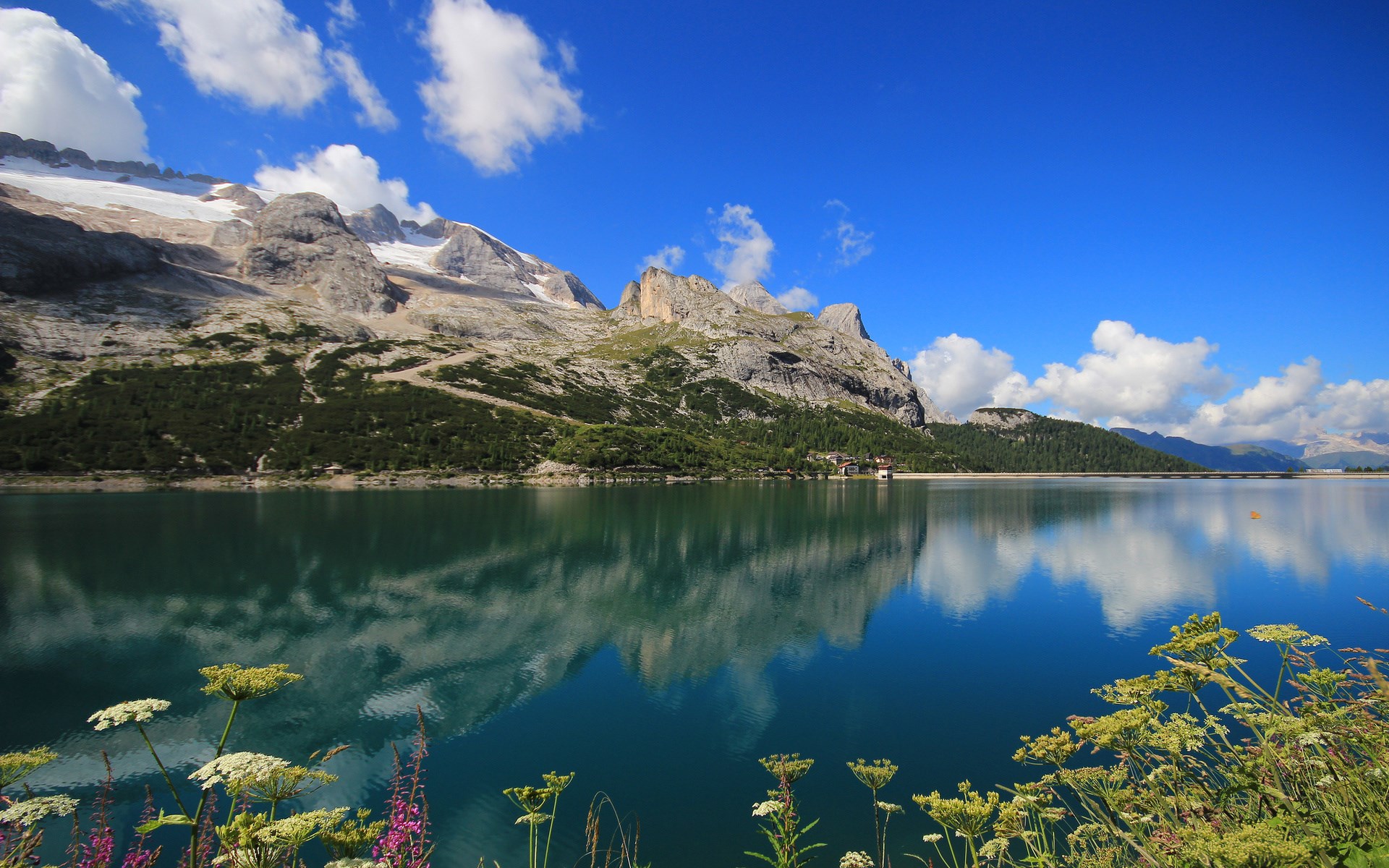 Mountain lake with reflections and flowers HD Wallpaper