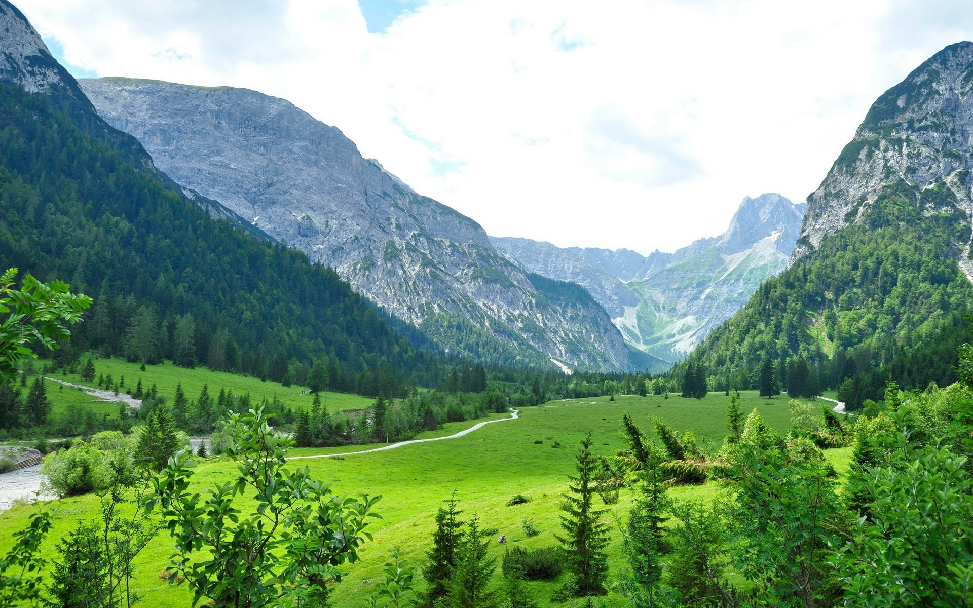 Green valley with mountains and trees HD Wallpaper