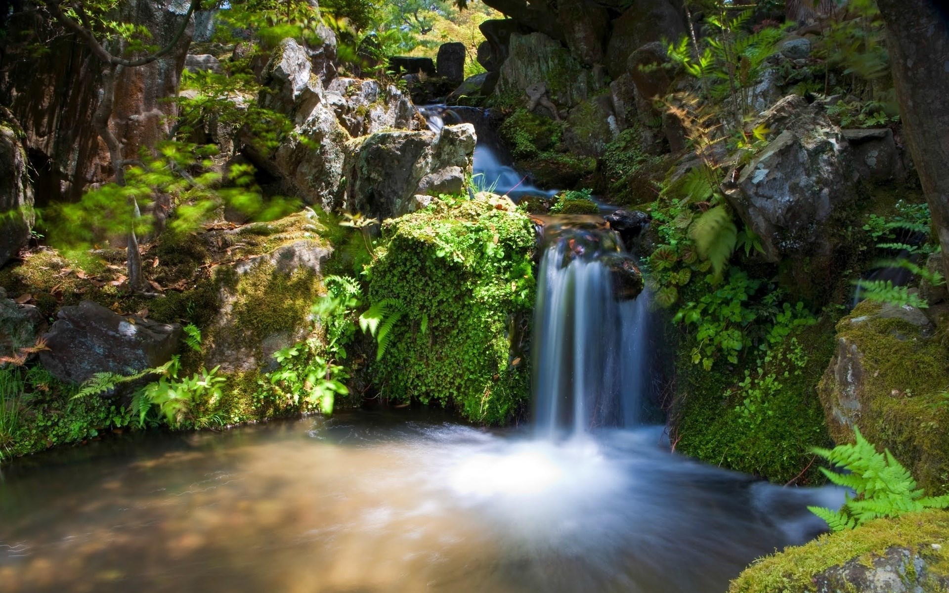 Small waterfall cascading into a pond in a mossy garden HD Wallpaper
