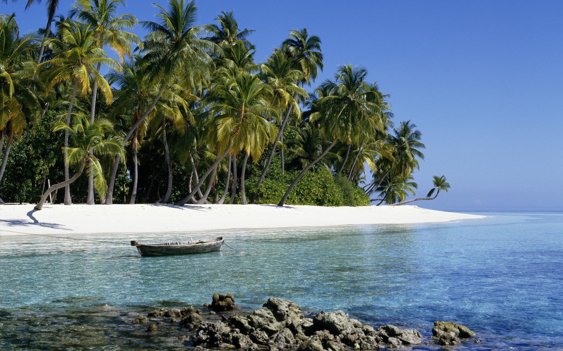 Tropical island with palm trees and a boat HD Wallpaper
