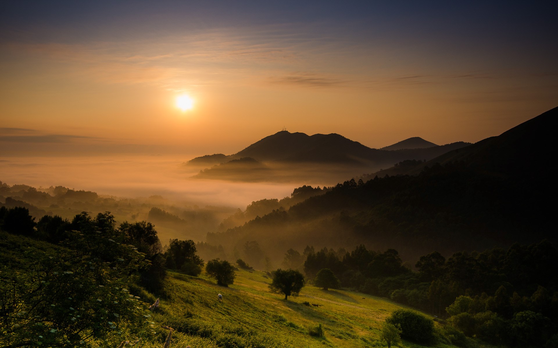 Sunrise over misty mountains and green hills HD Wallpaper