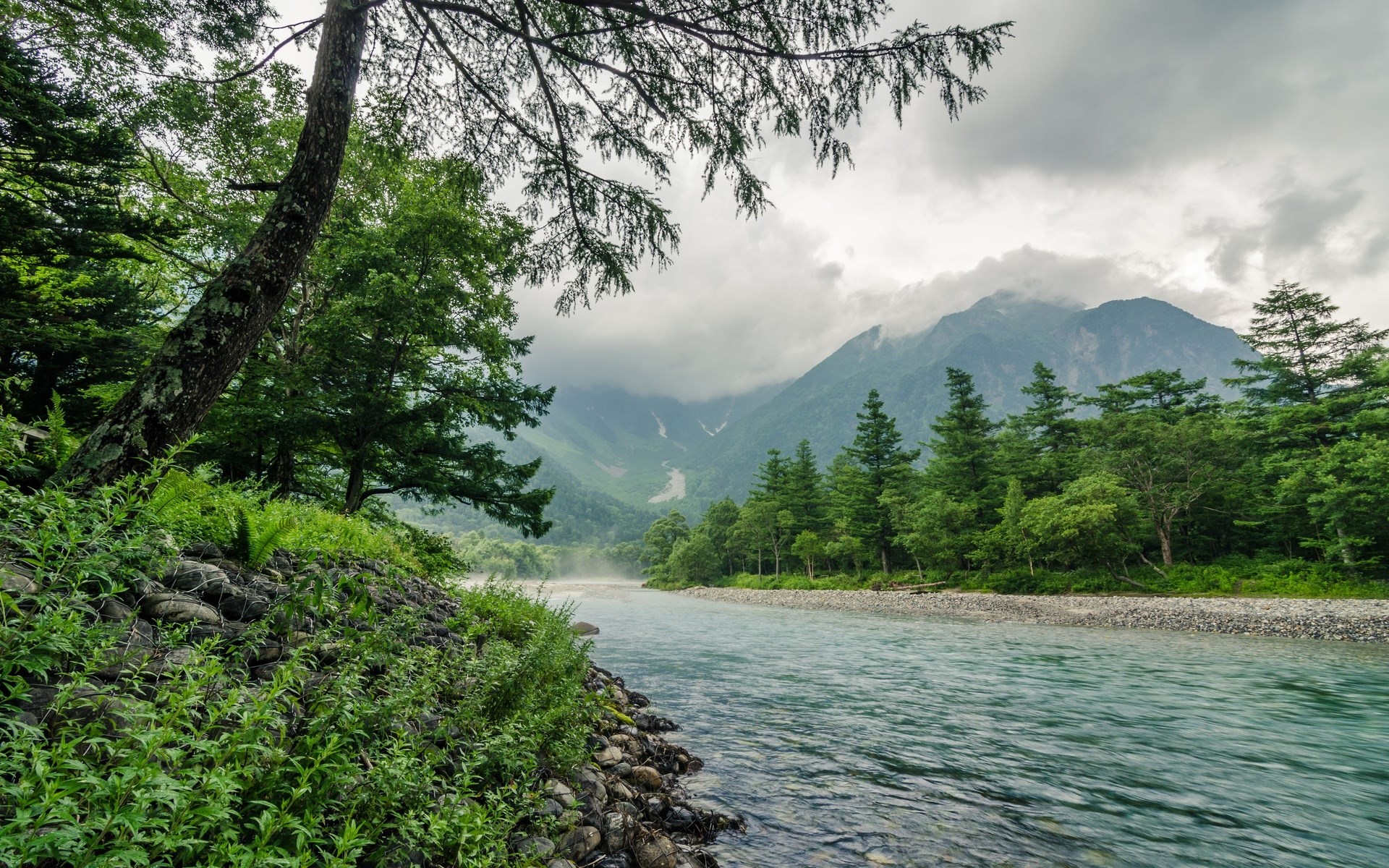 River flowing through a forest with mountains in the background HD Wallpaper