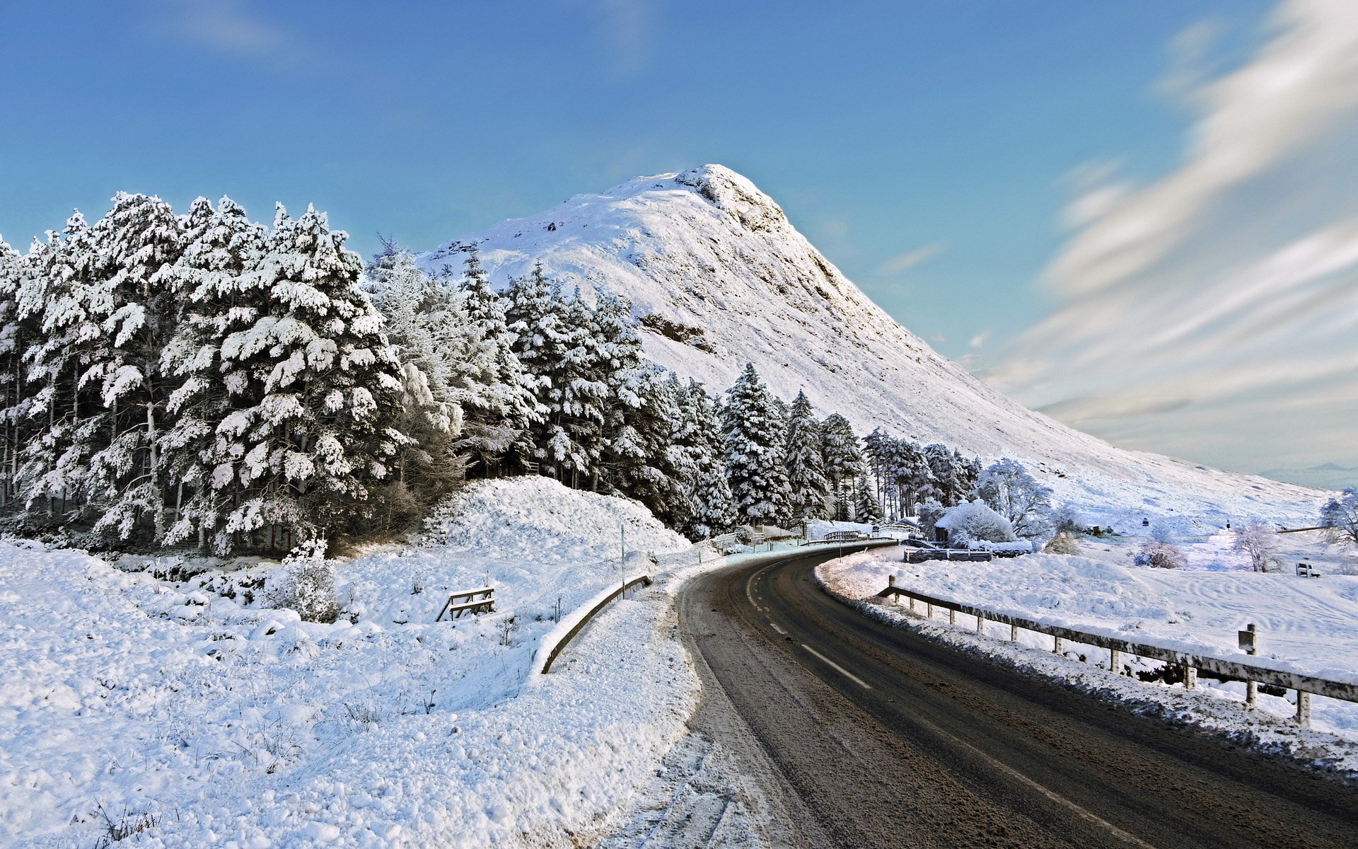 Snow-covered mountain road with pine trees HD Wallpaper