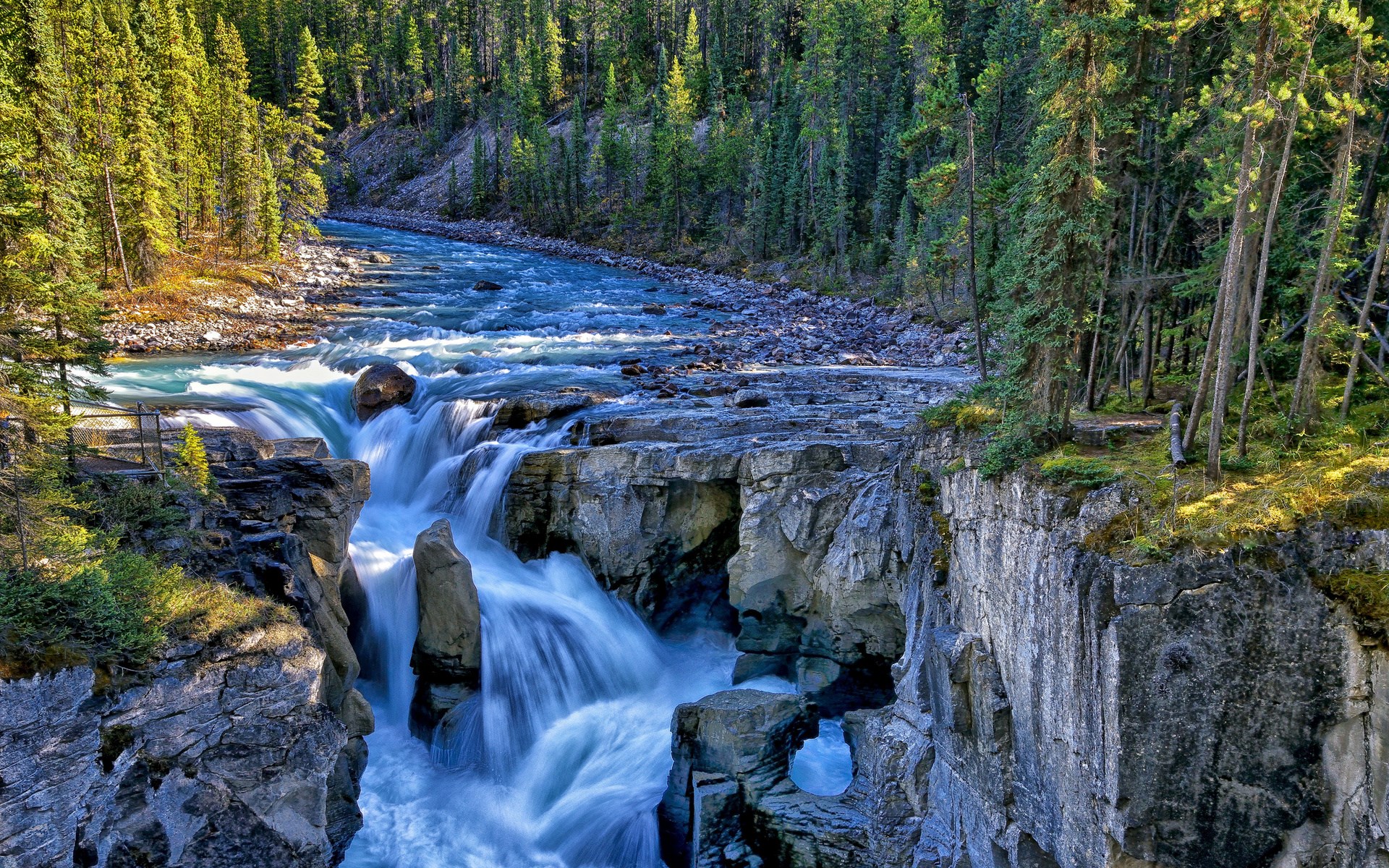 Waterfall flowing through a rocky canyon with pine trees HD Wallpaper