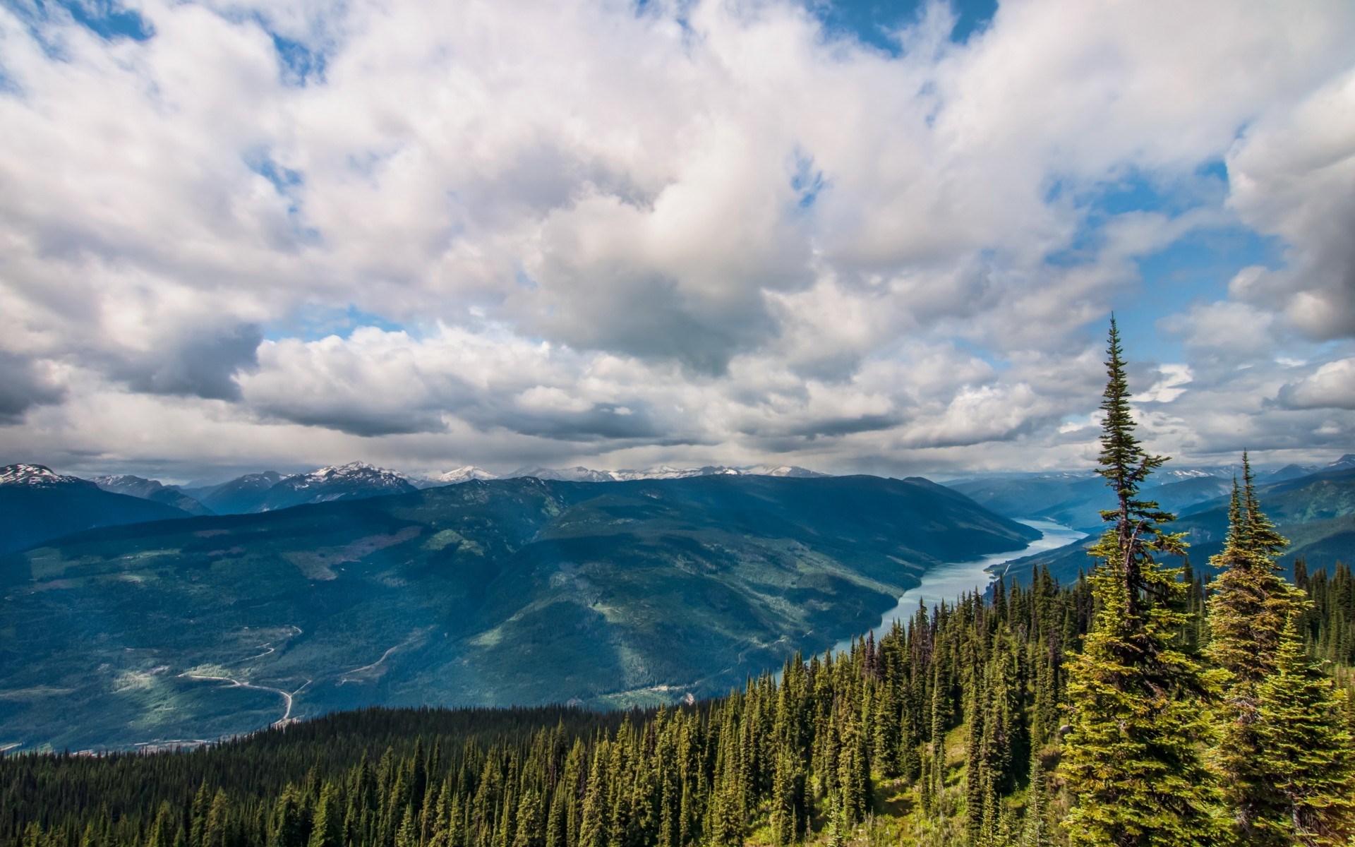 Mountain valley with river and pine trees under cloudy sky HD Wallpaper