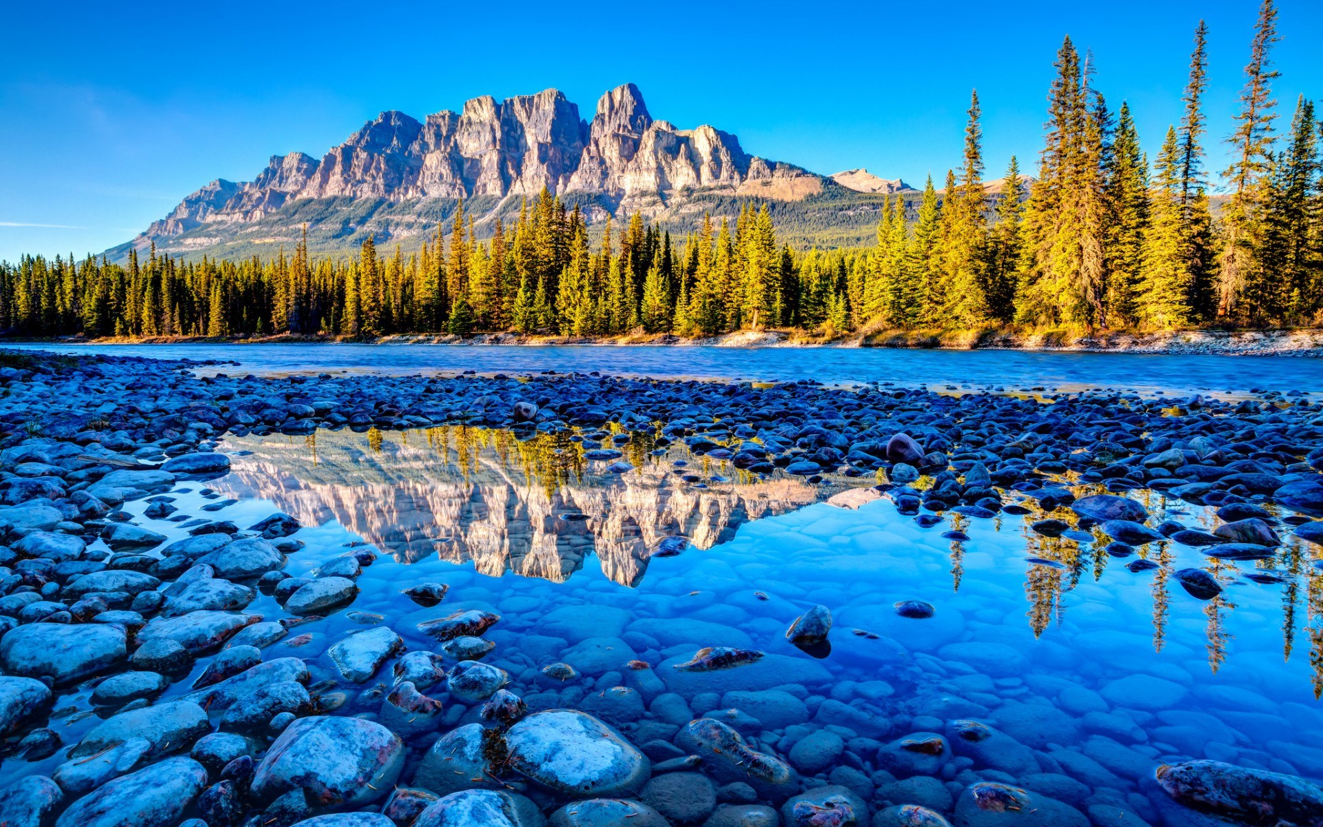 Castle Mountain reflected in a river in Banff National Park HD Wallpaper