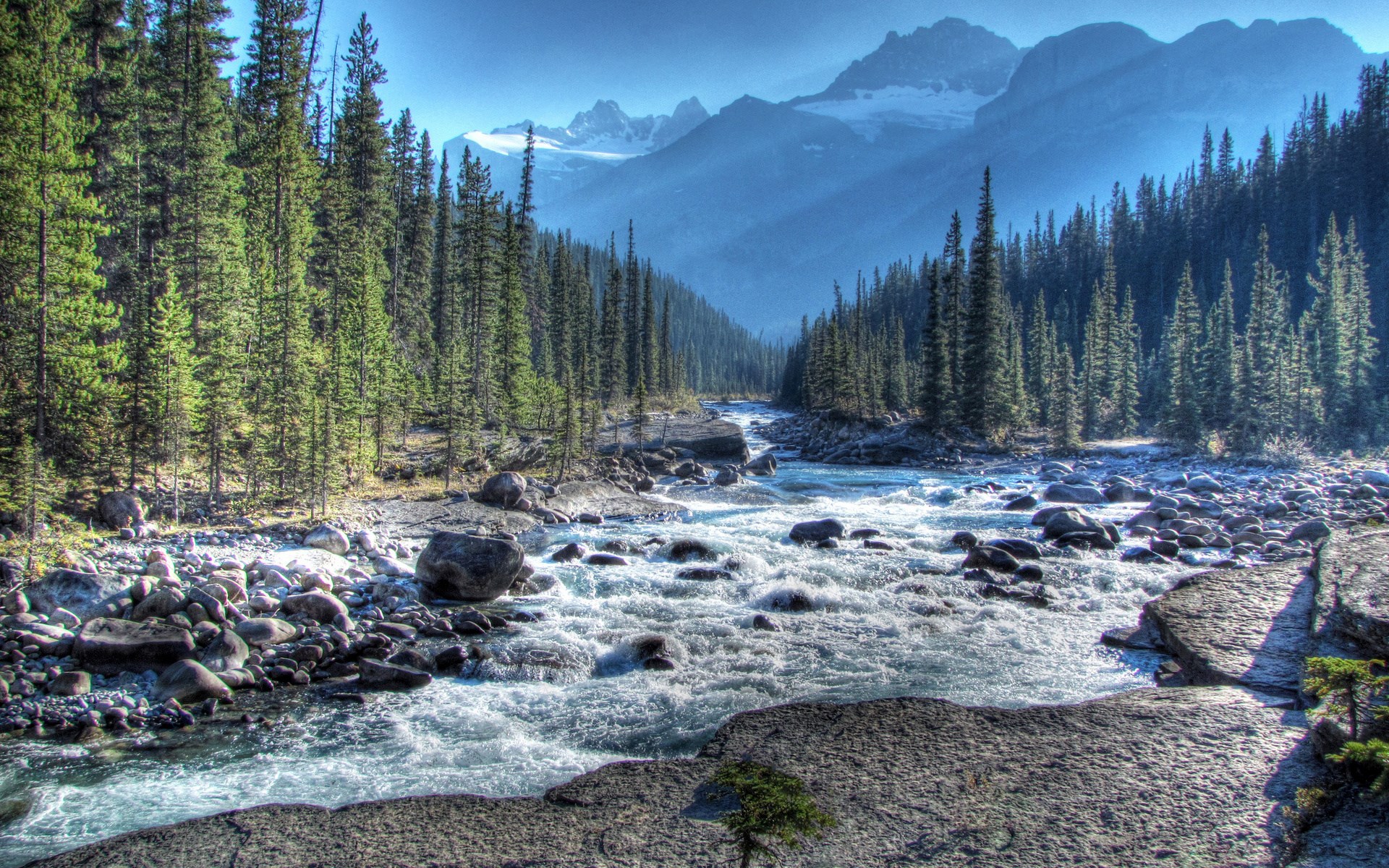River flowing through a forest valley with mountains HD Wallpaper