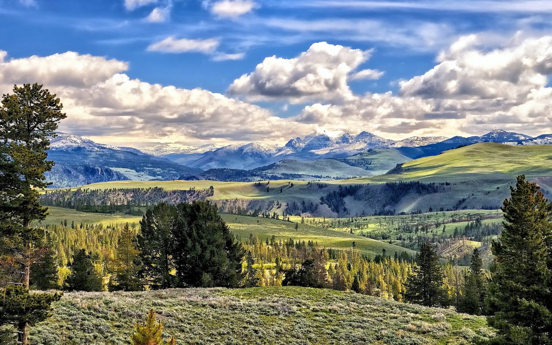 Rolling green hills and snow-capped mountains under a cloudy sky HD Wallpaper