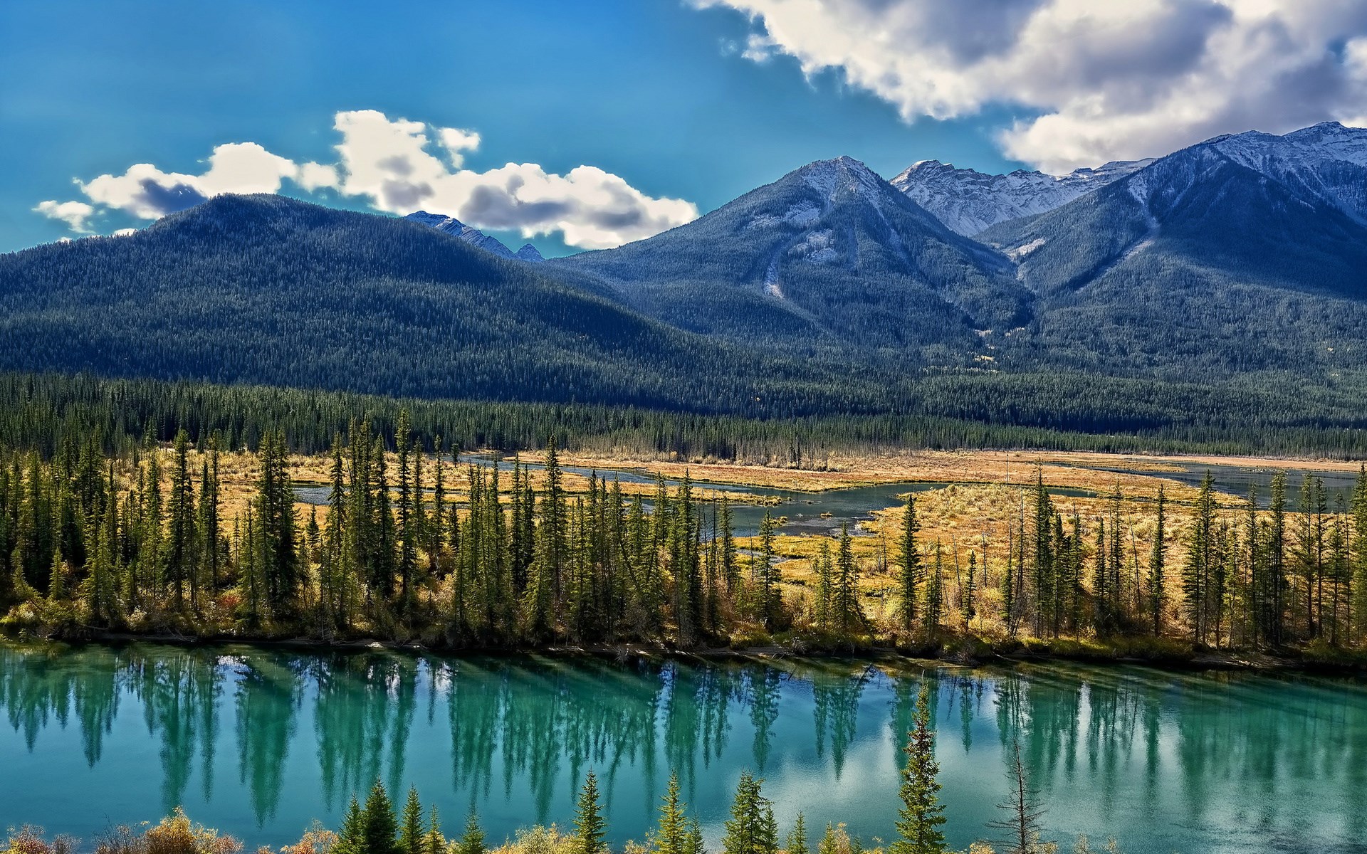 Turquoise river and pine forest with mountains HD Wallpaper