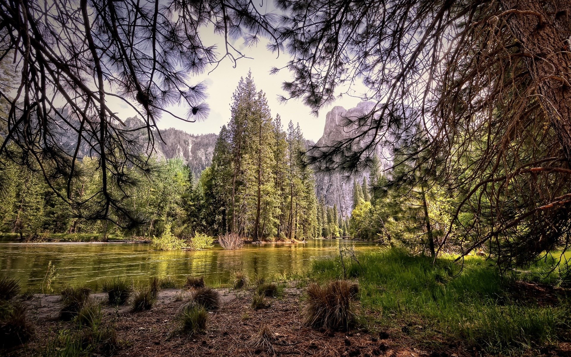 River and trees in Yosemite Valley HD Wallpaper