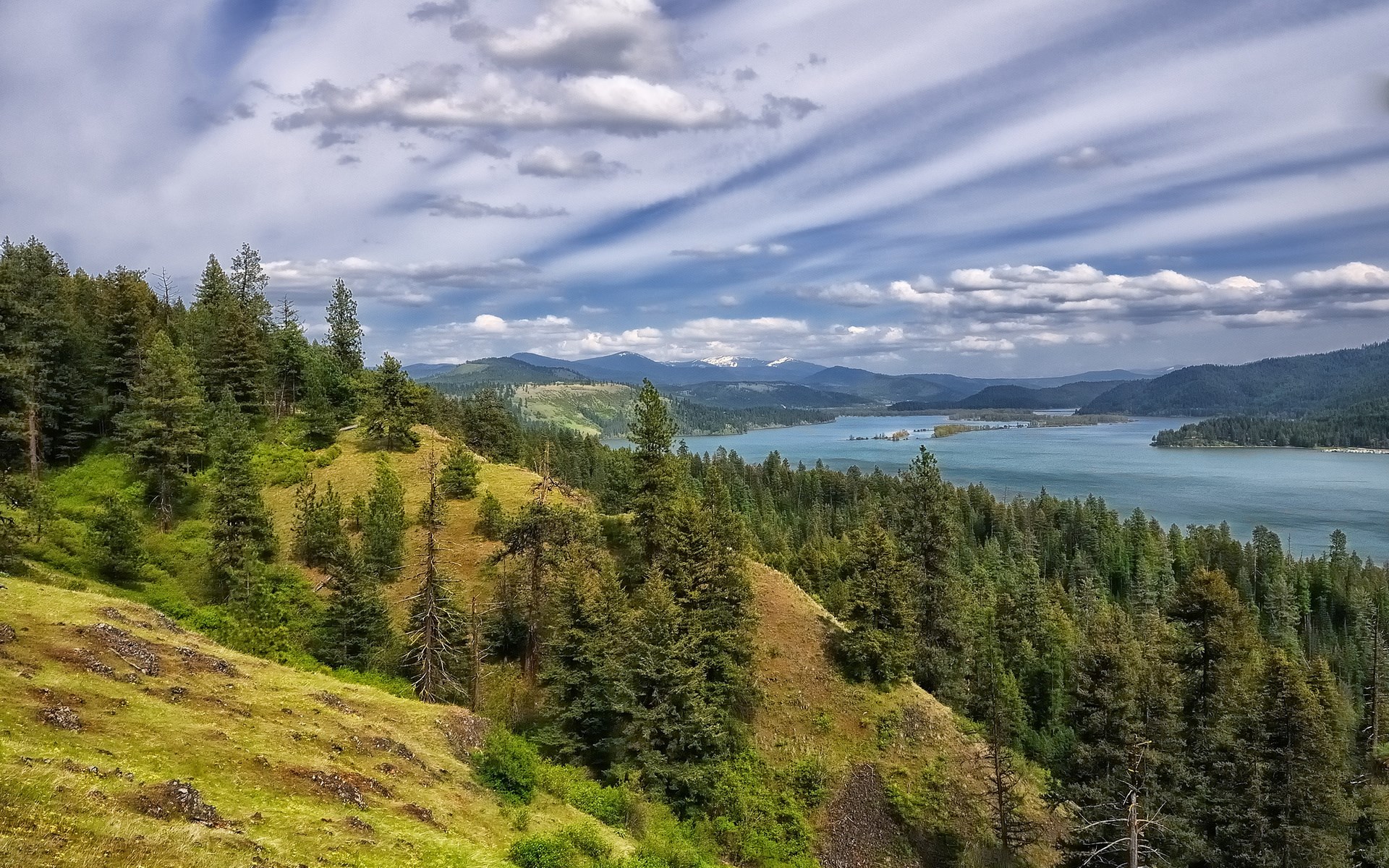 Mountain lake surrounded by pine forest under cloudy sky HD Wallpaper