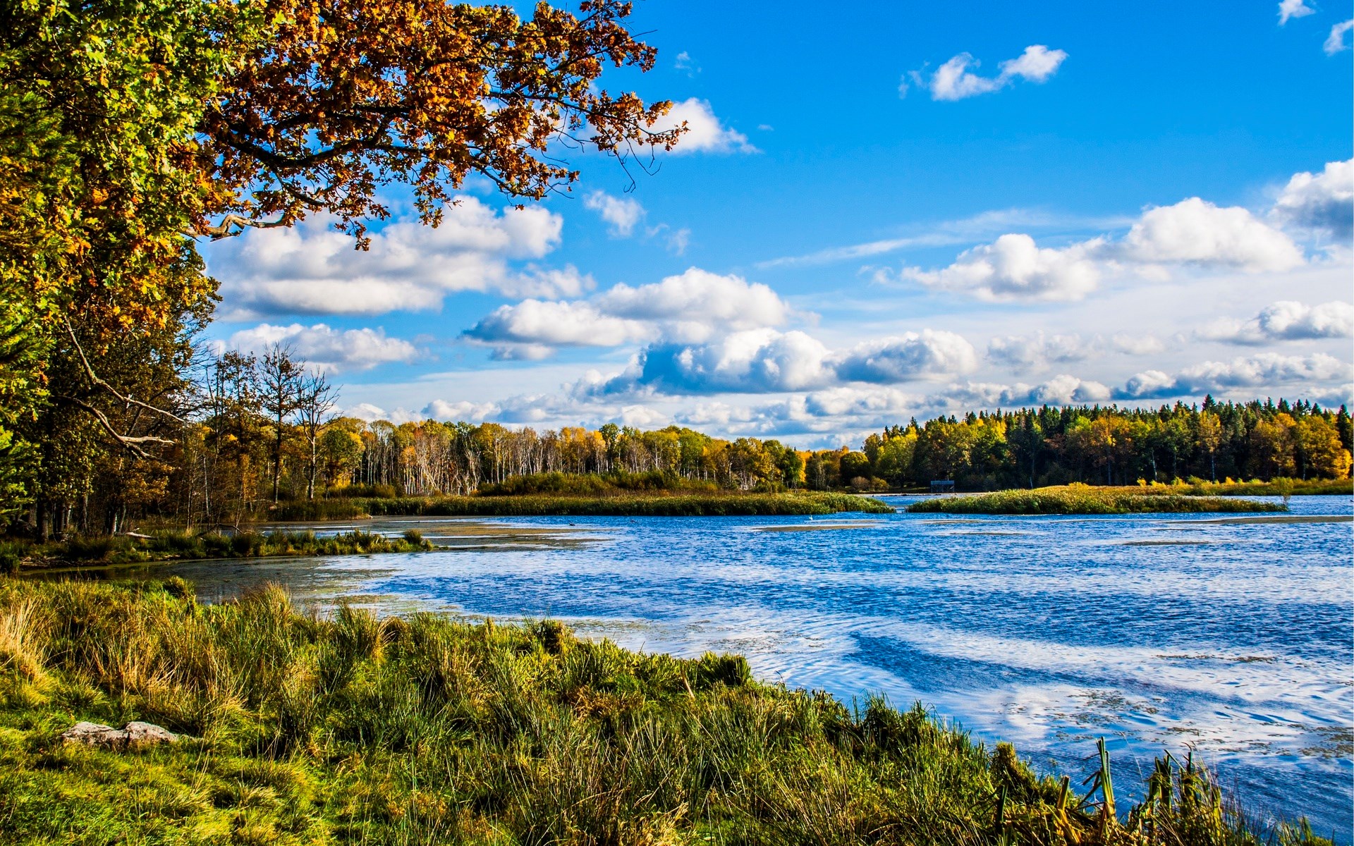Autumn lake with trees and blue sky HD Wallpaper