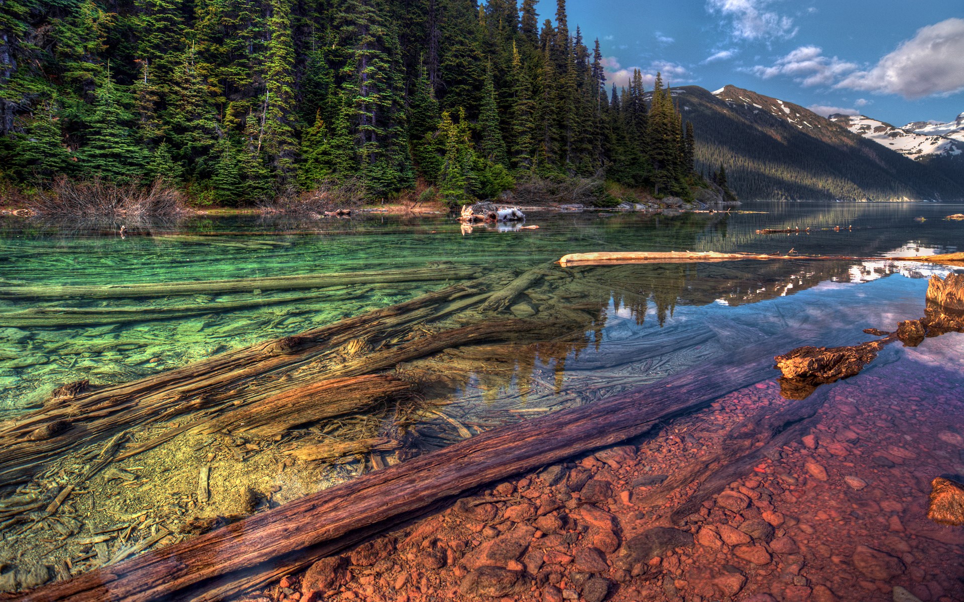 Logs submerged in a clear, colorful lake with a forest and mountains HD Wallpaper