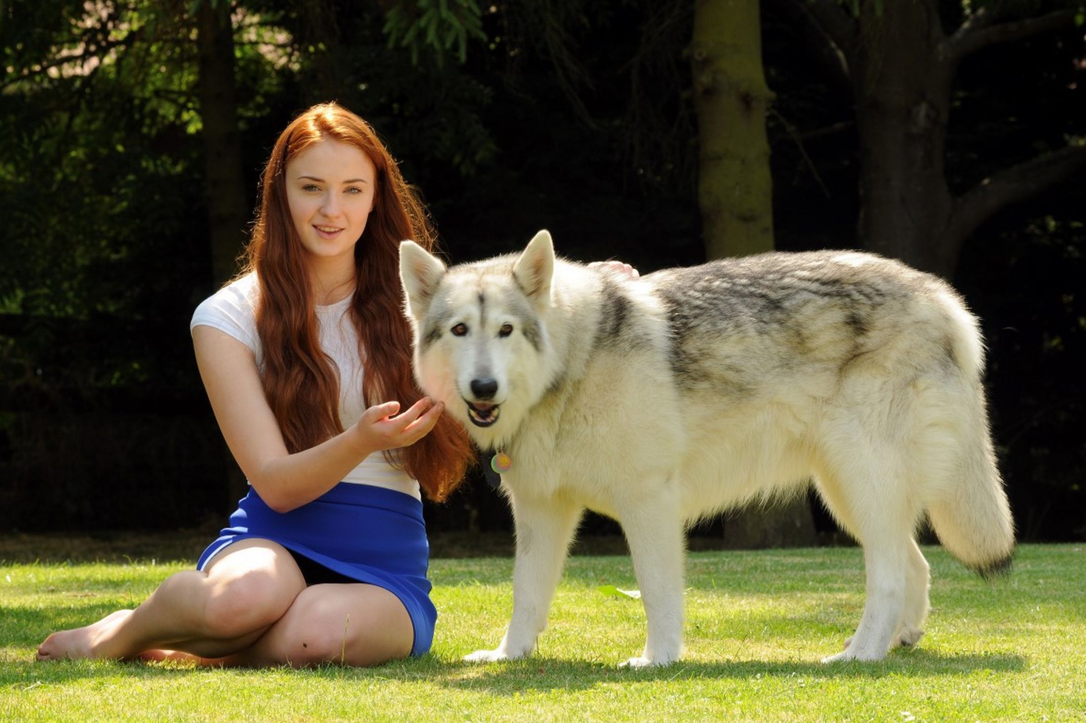 Sophie Turner with a Husky dog HD Wallpaper
