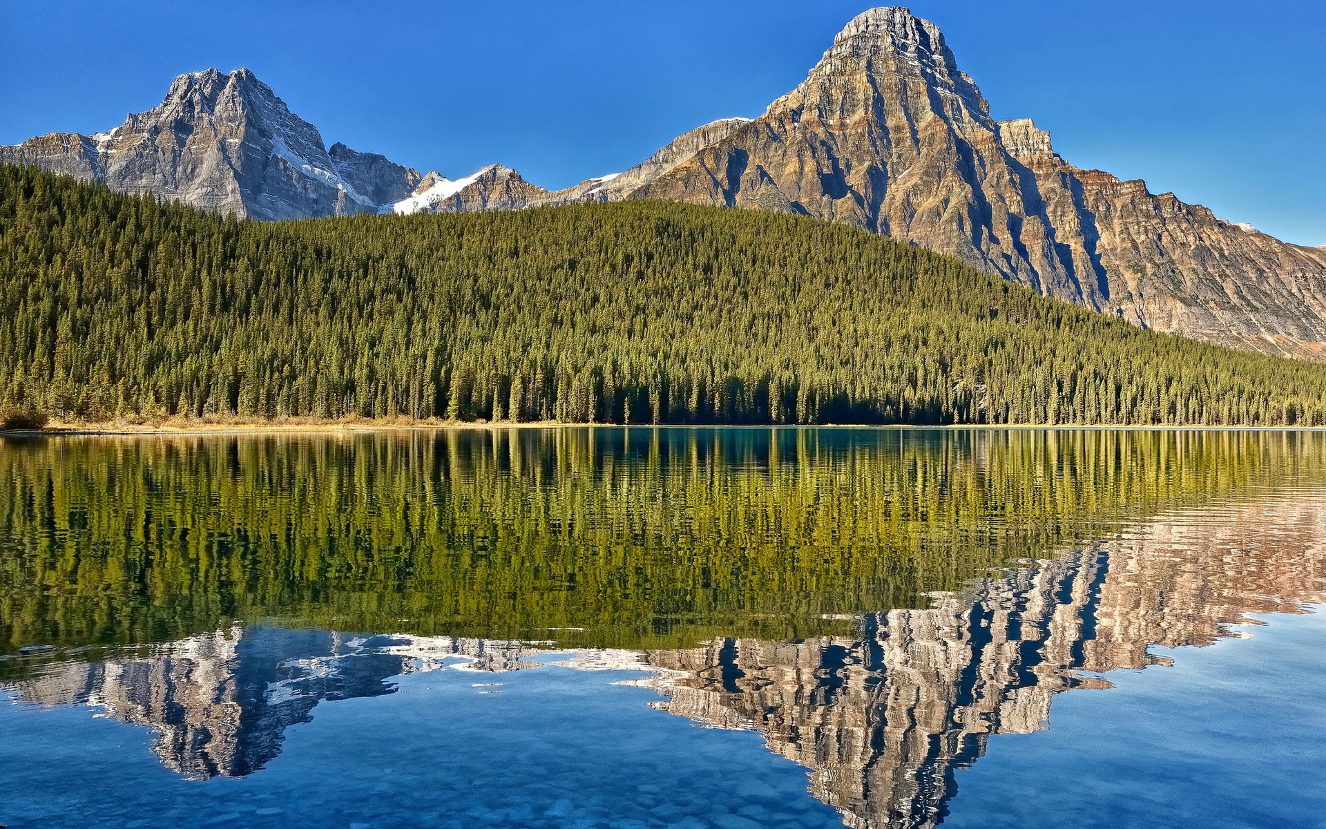 Mountain reflected in a calm lake with pine forest HD Wallpaper