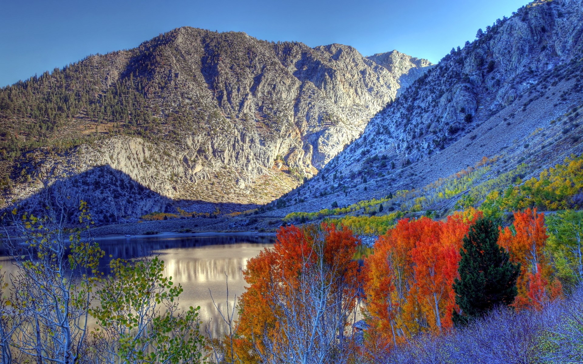 Mountain lake with autumn trees HD Wallpaper