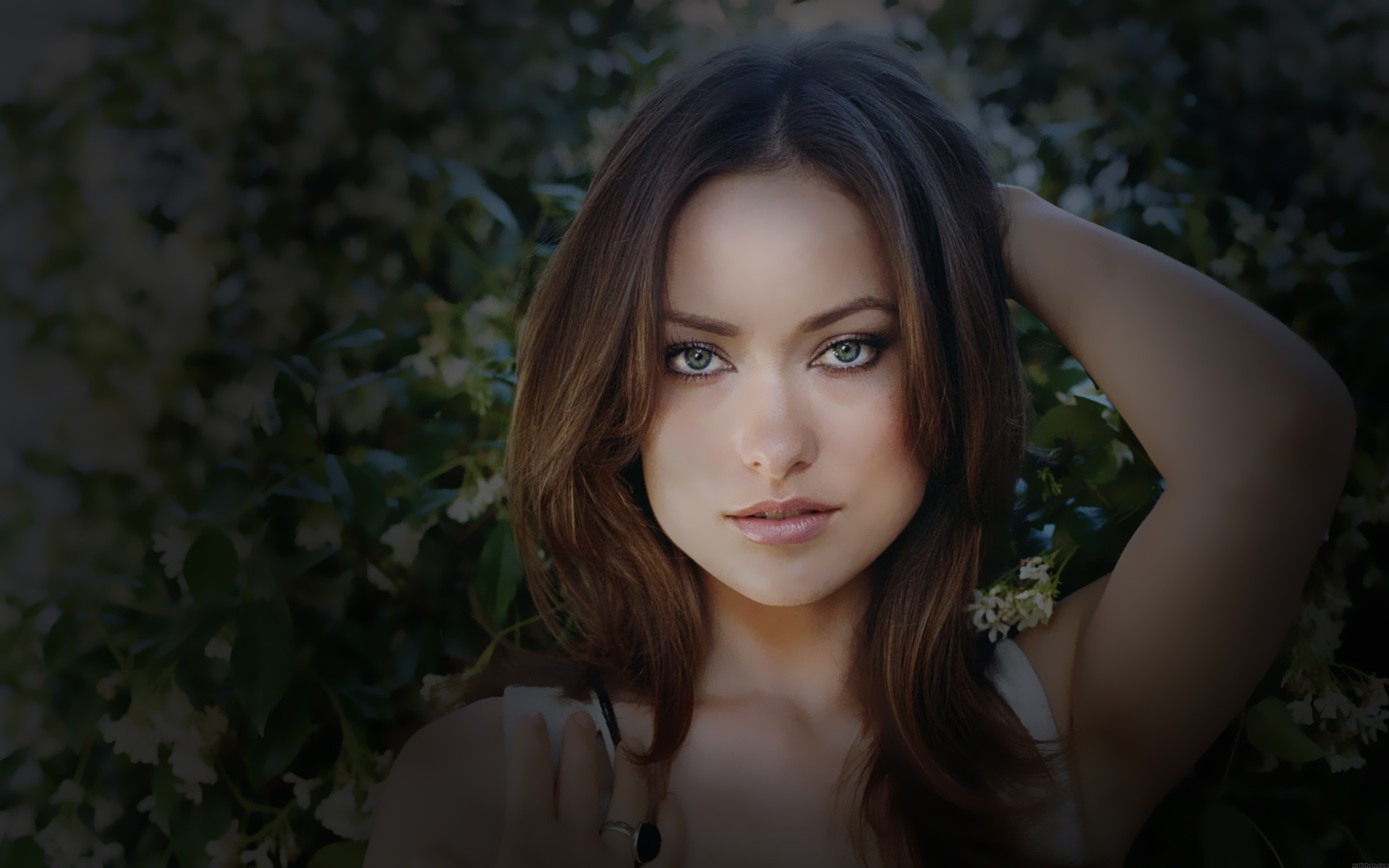 Olivia Wilde HD Wallpaper