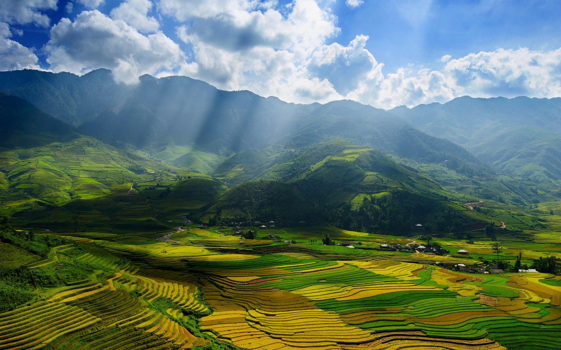 Terraced rice fields in a mountain valley under sunlight HD Wallpaper